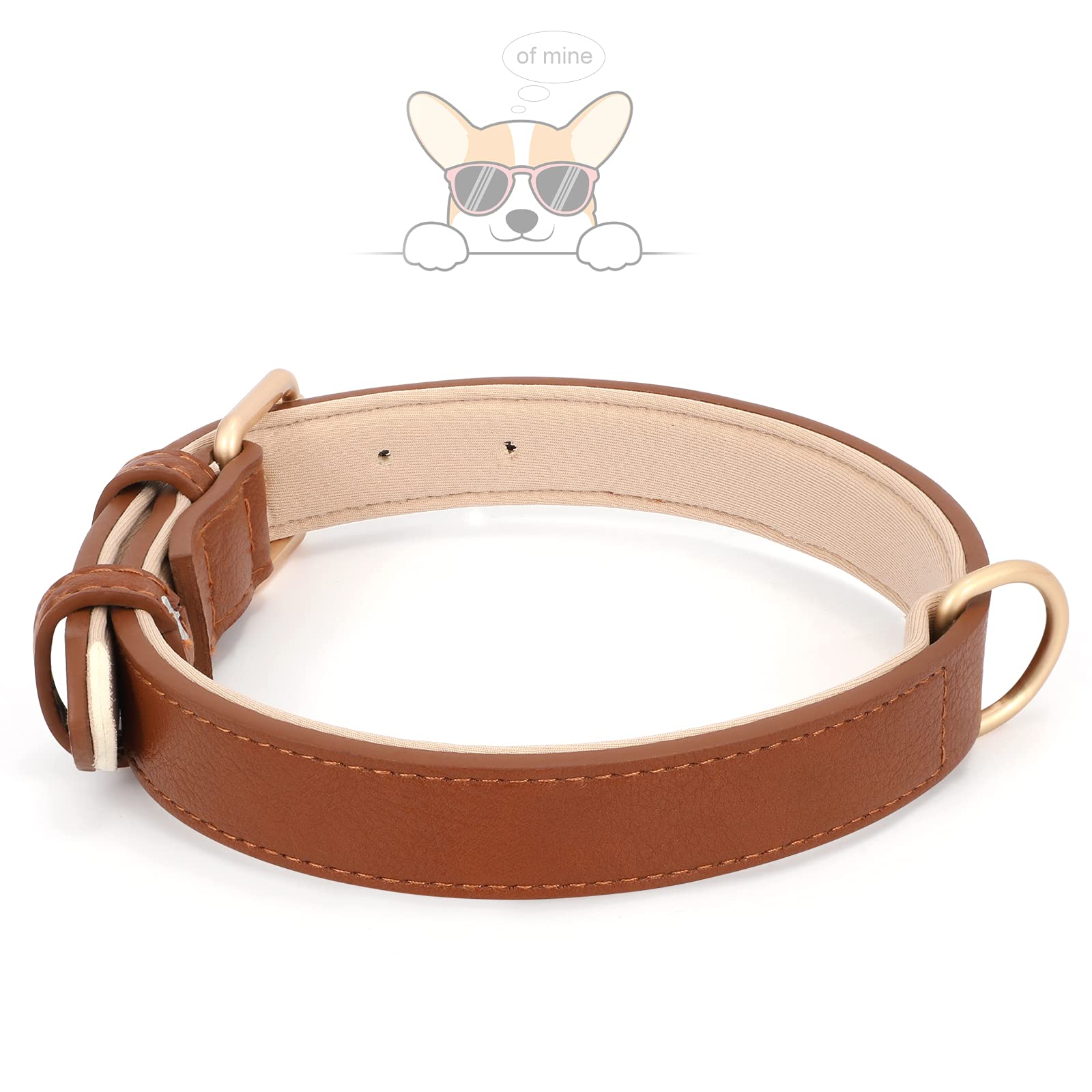 Whippy Leather Dog Collar For Small Medium Dog Adjustable Soft Breathable Leather Padded Puppy Collar With Alloy Buckle Heavy Du