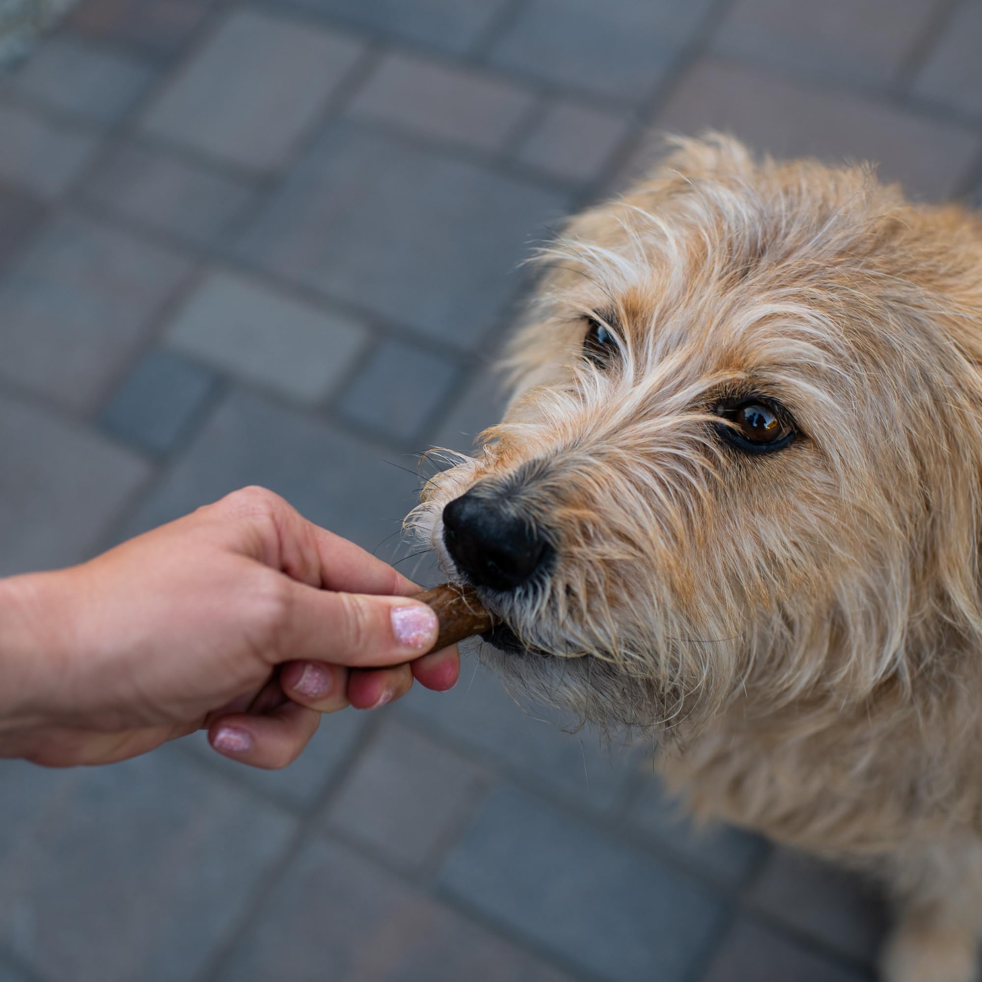 Loving Pets Natural Value Duck Sausages - Soft Jerky Dog Treats for Large & Small Breeds - Healthy Gluten, Wheat, Soy & Grain Fr
