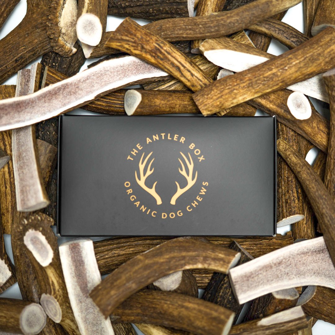 The Antler Box-Premium Elk Antler Dog Chews (1 Lb Bulk Pack) (Split Only, Medium)