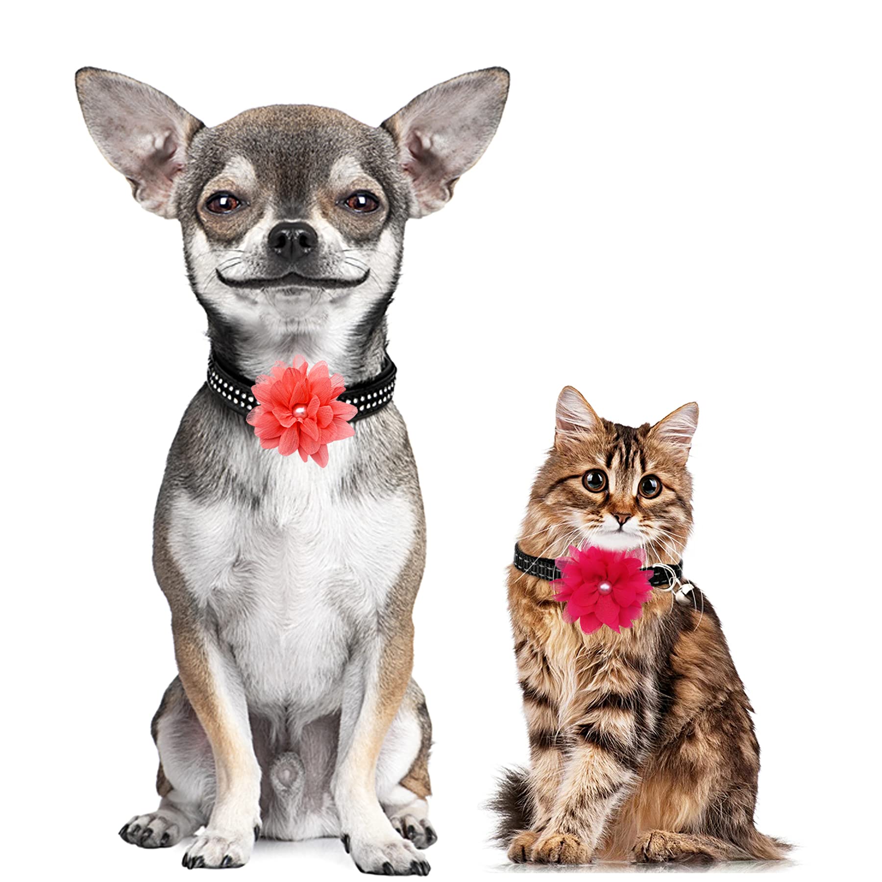 Pet Show 3'' Valentines Small Dog Flowers Collar Charms Accessories For Girls Cat Puppies Collars Bows Grooming Supplies Pink Re