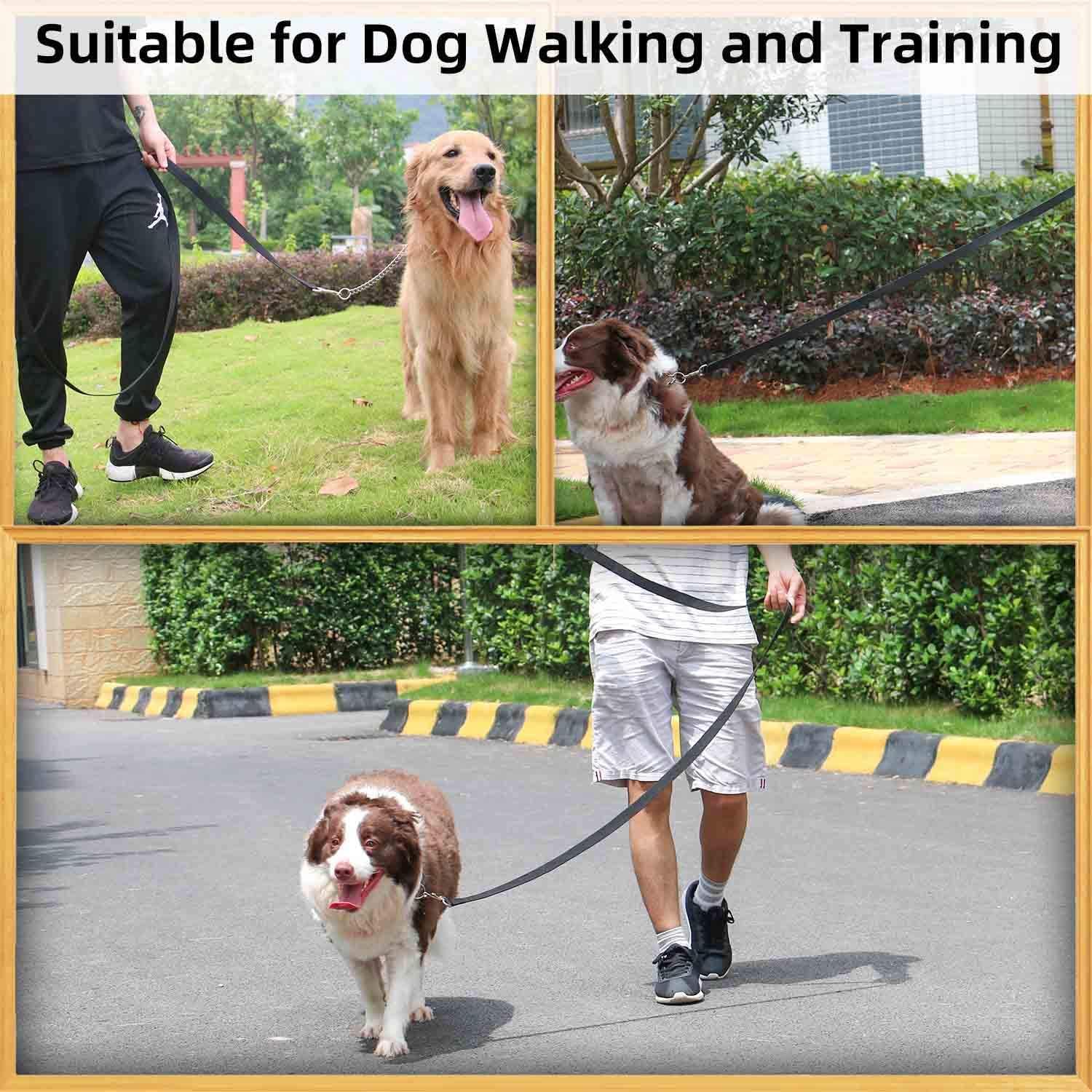 Amagood 6 Ft Cat Leash, Strong And Durable Traditional Style Leash With Easy To Use Collar Hook,Cat Lead Great For Cats (3/4 In