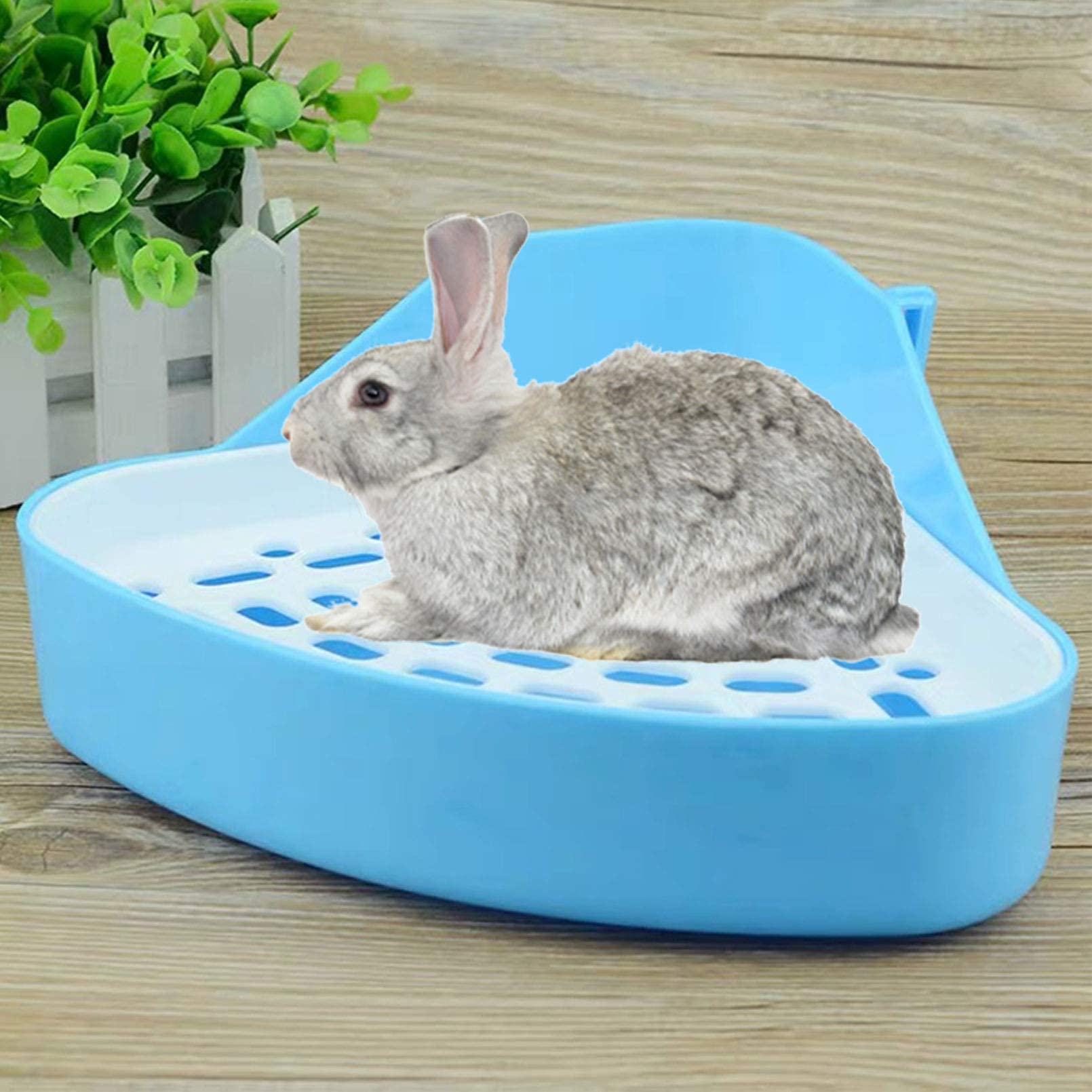 kathson Blue Triangle Potty Trainer for Small Pets - Rabbit, Guinea Pig, Chinchilla, Hamster Plastic Litter Box Pan