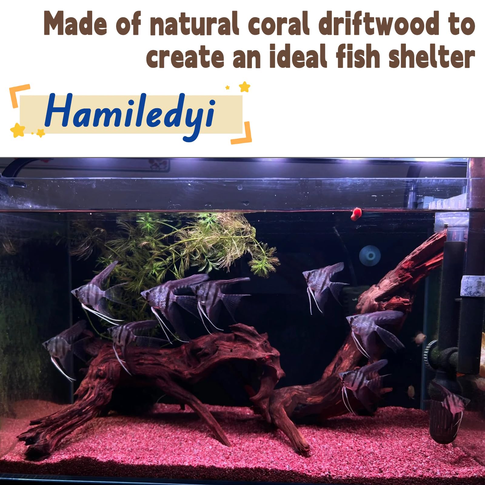 Hamiledyi Aquarium Driftwood, Natural Large 7-15In Coral Driftwood For Aquarium Decor Reptile Tank Decor Terrarium Ornament Wood Branch Trunk Stump For Fish Betta Lizard
