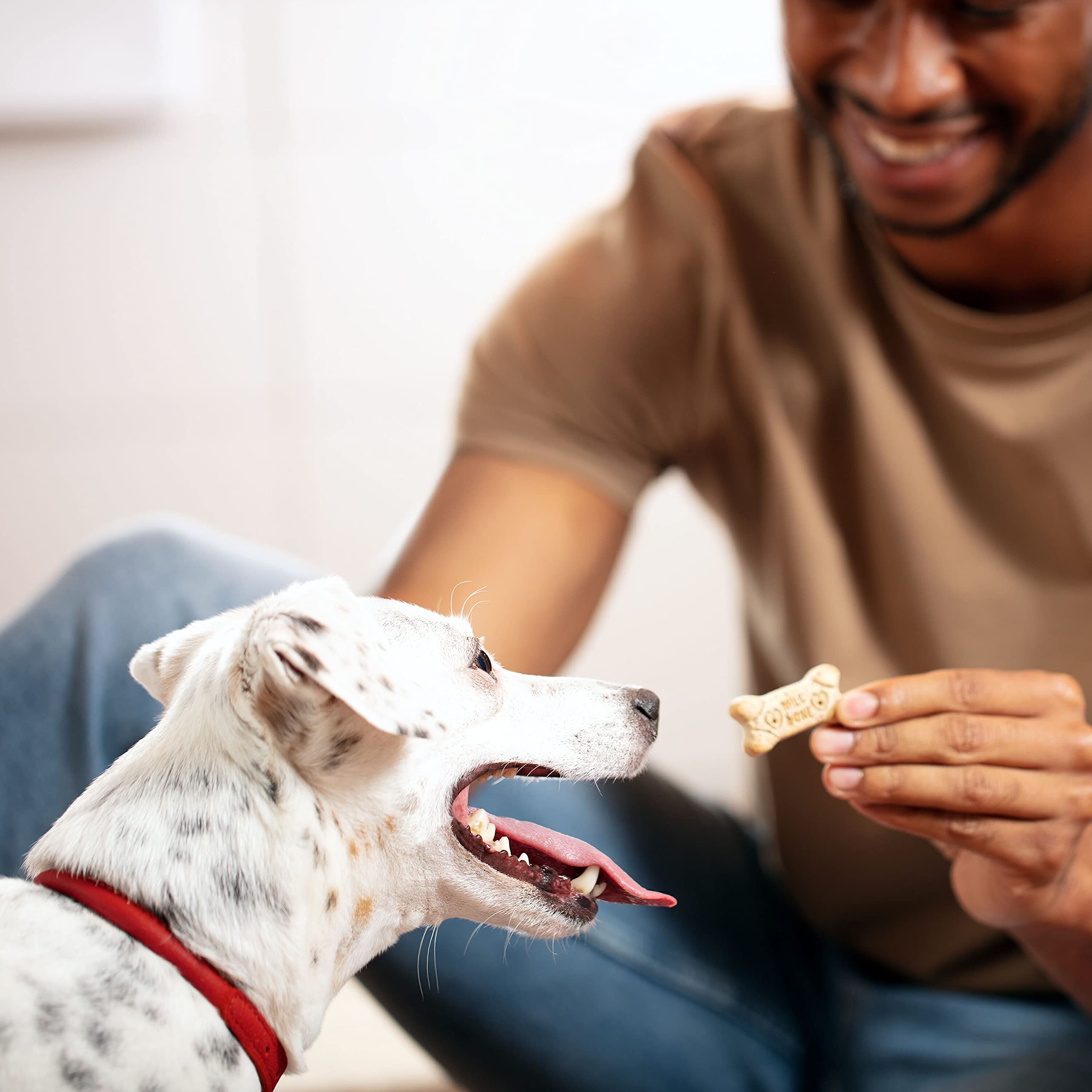 Milk-Bone Original Biscuits, Medium Dog Treats, 4 Pound Box