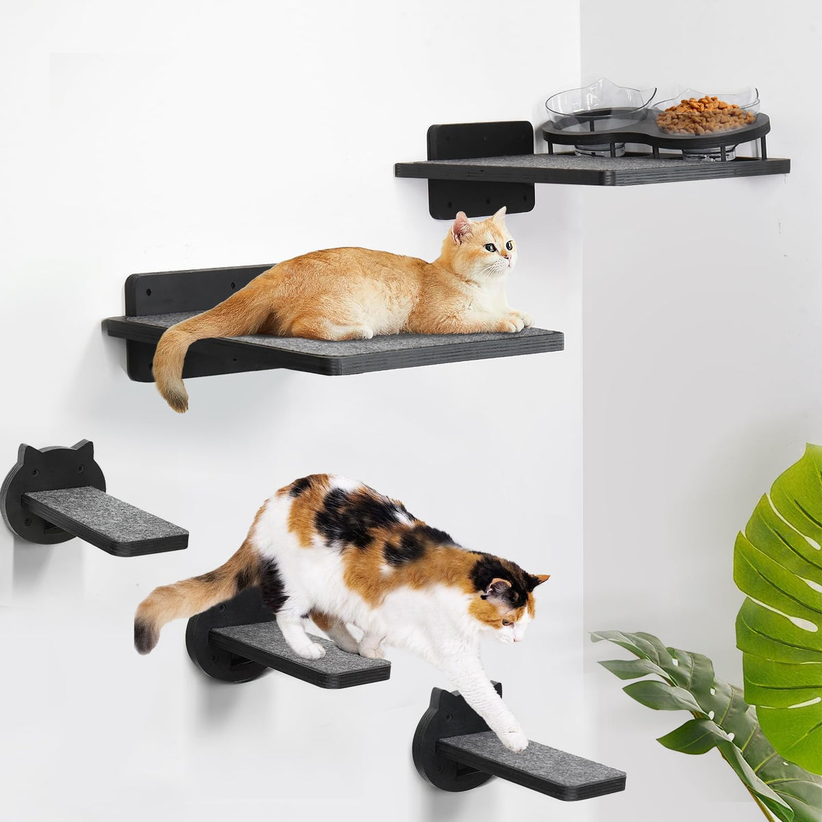 Cat Wall Shelves, Wood Cat Shelves For Wall With Feeding Station, Wall Furniture With 3 Steps, Cat Shelves And Perches Climbing 