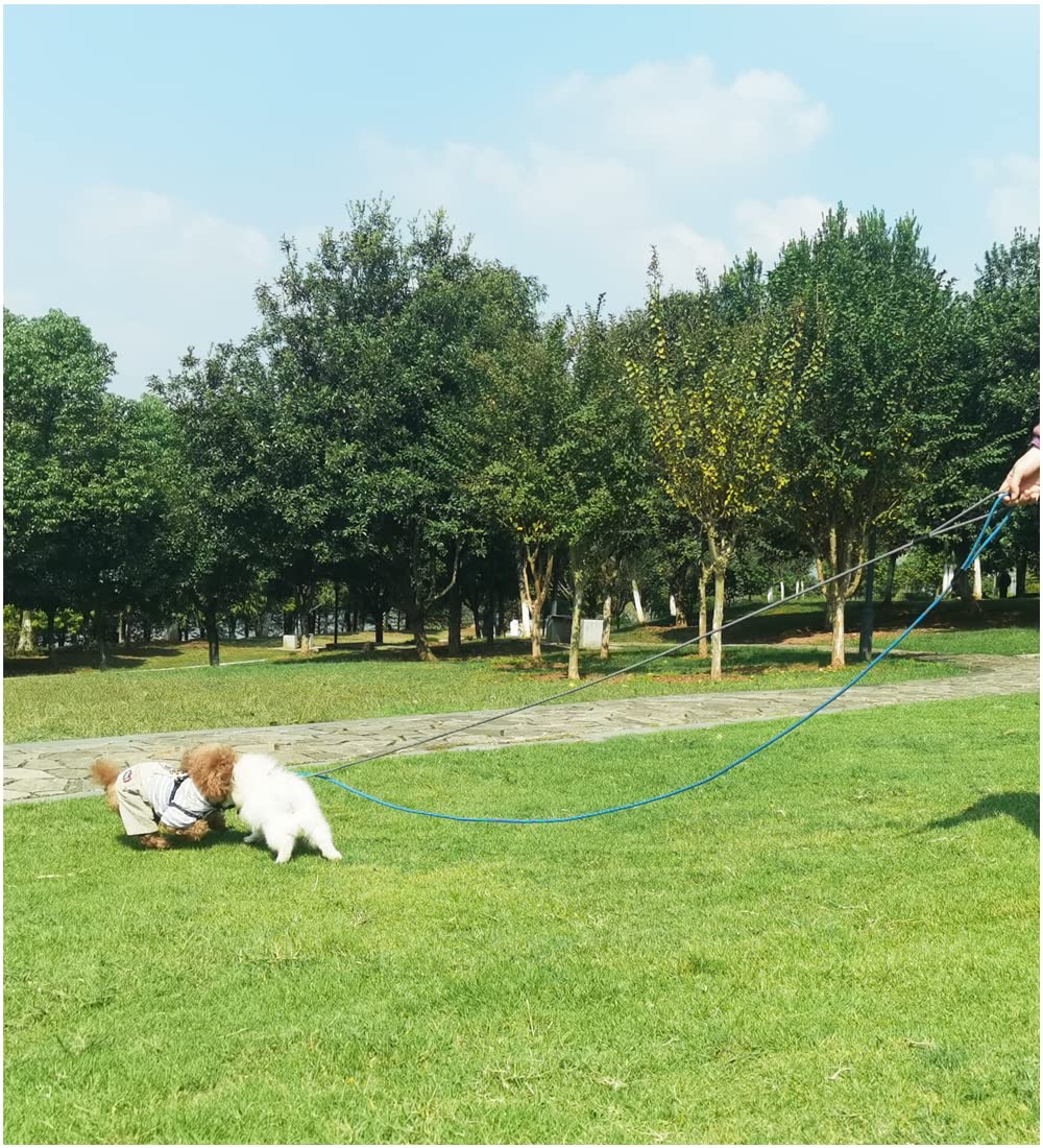 Sepxufore 8Ft Slip Lead Dog Leash, 1/3    Strong Rope Dog Leash, Adjustable No- Pull Small Dog Leash For Puppy, Small And Medium