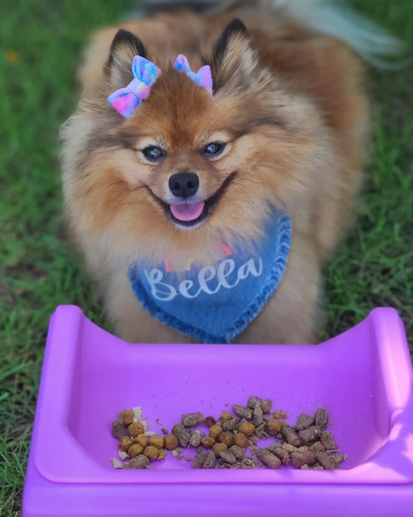Fluff Trough Elevated Dog Bowl for Food | 5inch Tall Cat & Dog Feeding Station | Vet Approved Non-Toxic Silicone Feeder Bowl Ins