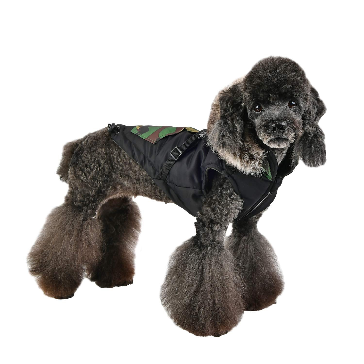 Puppia Orson Dog Coat - Black - M