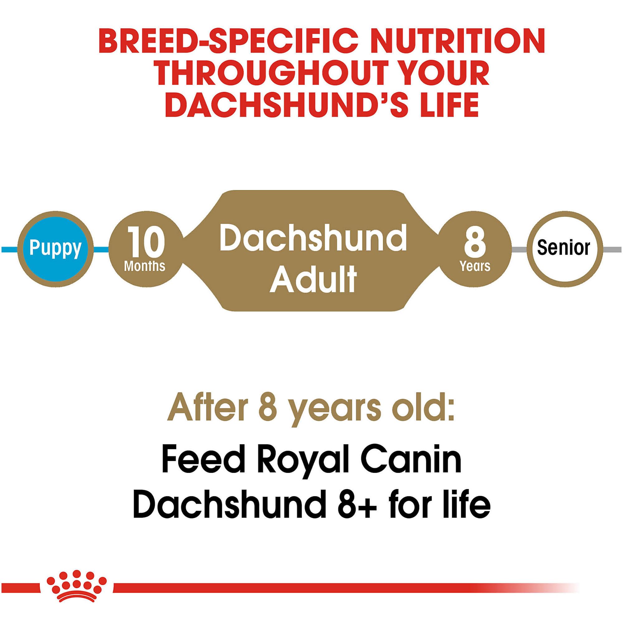 Royal Canin Dachshund Adult Breed Specific Dry Dog Food, 10 Lb bag