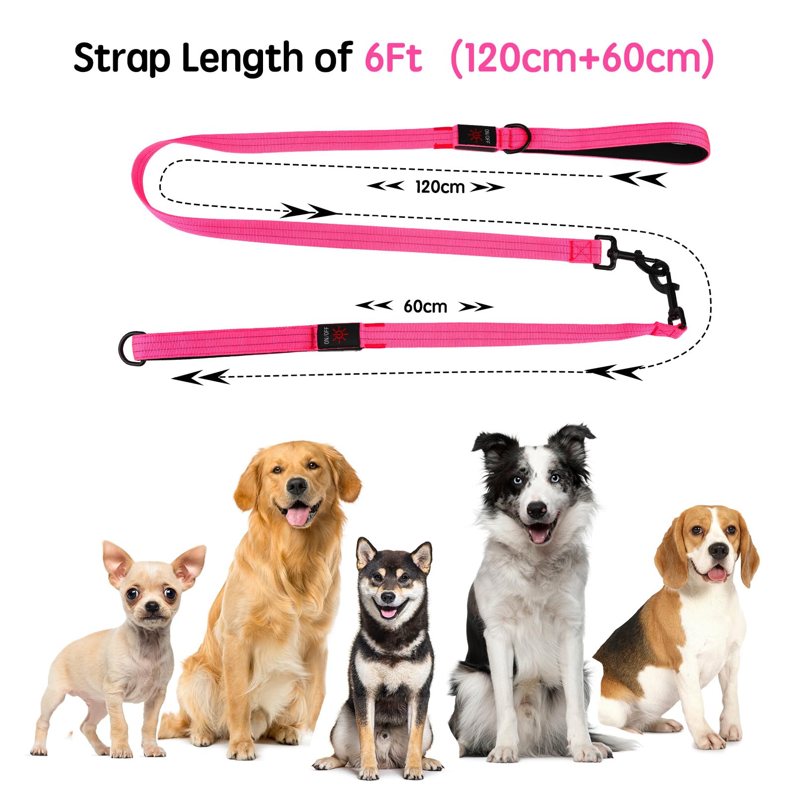 Itk Light Up Dog Leash, Led Leashes Rechargeable, Nylon Reflective Lead With Padded Handle For Night Walking, Safety Glow Lights