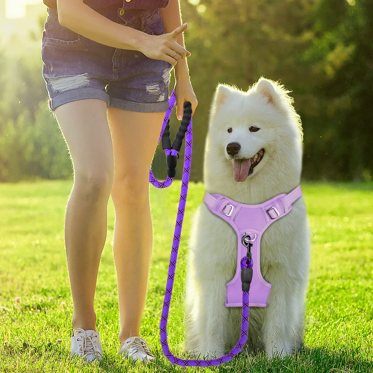 BARKBAY No Pull Dog Harness Front Clip Heavy Duty Reflective Easy Control Handle for Large Dog Walking with ID tag Pocket(Violet