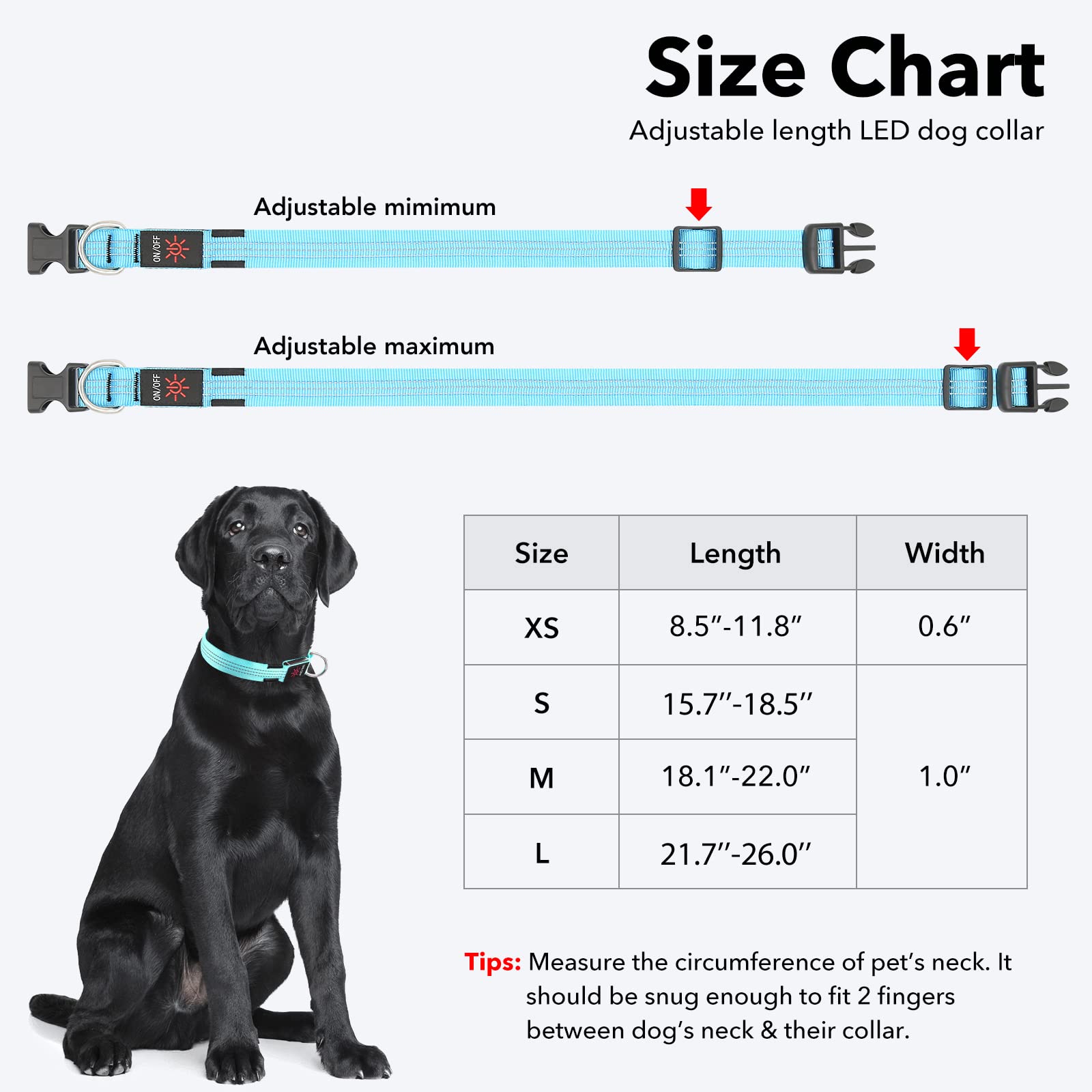 Illumifun Light Up Dog Collar, Usb Rechargeable Led Dog Collars, Reflective Safety Collar Light For Your Dogs Walking At Night (Blueⅲ, Large)