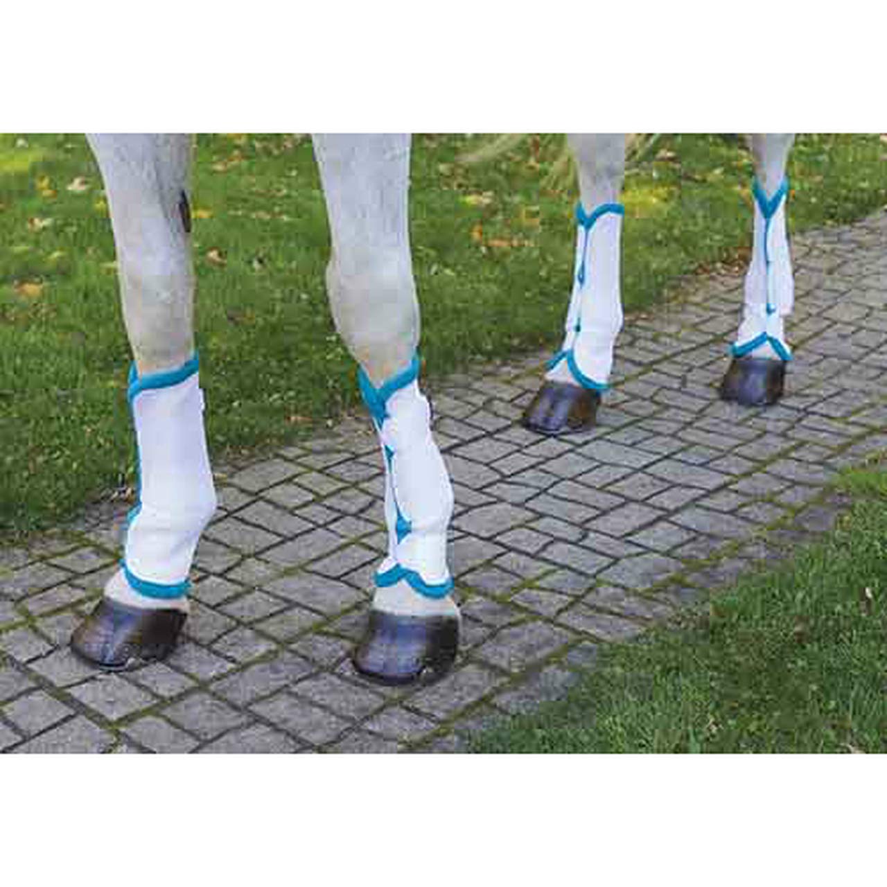 Shires Equestrian Horse Airflow Turnout Socks Teal Full