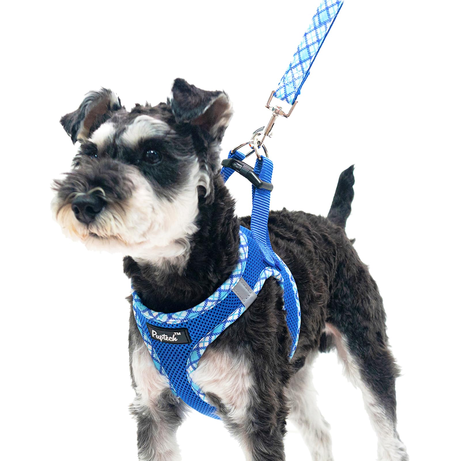 Pupteck Dog Harness And Leash Set For Small Medium Dogs No Pull Step-In Soft Mesh Puppy Cat Vest Harnesses Reflective At Night, Blue S