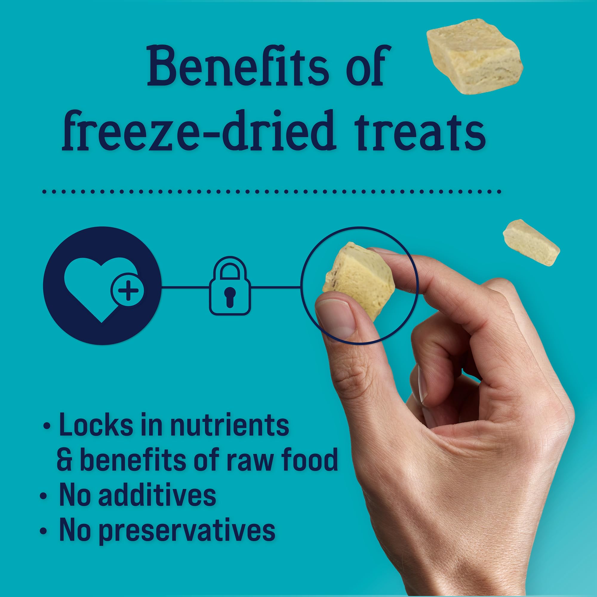 Stewart Chicken Breast Dog Treats, 11.5 oz, ~215 Pieces, Freeze Dried Raw, Single Ingredient, 74% Protein Training Treats or Mea