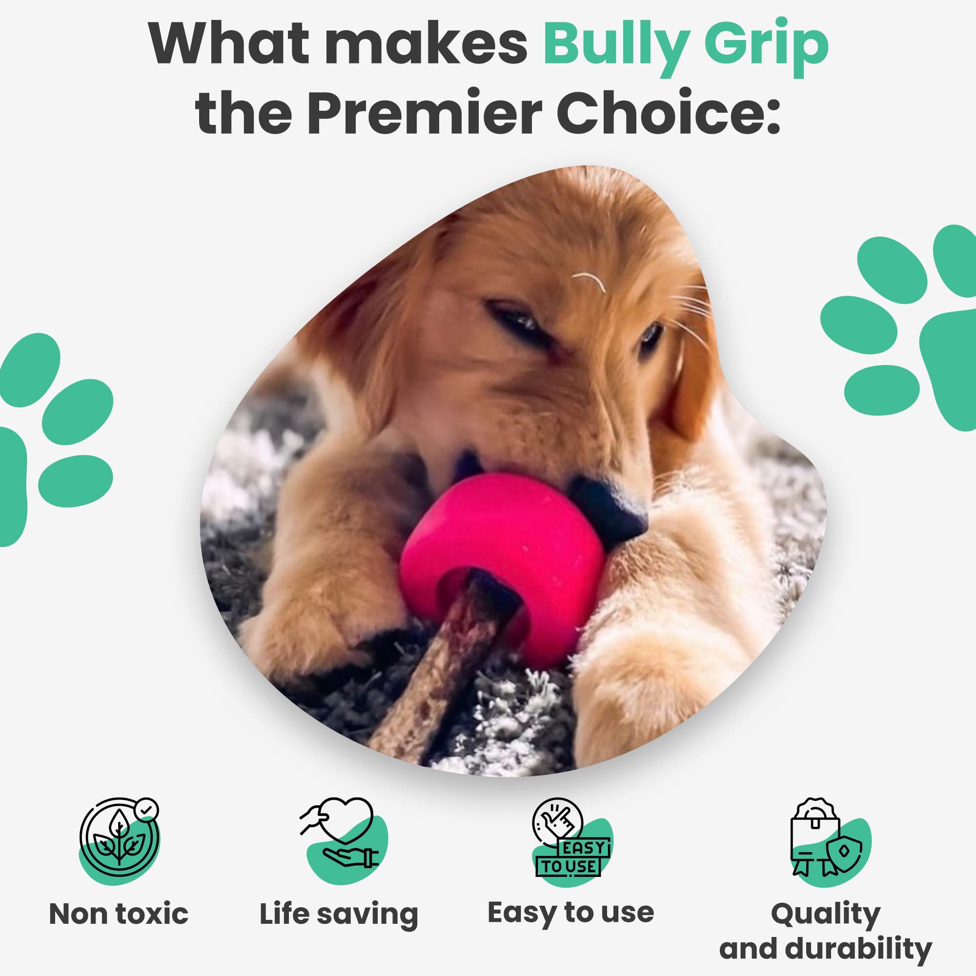 Bully Grip Small Neon Pink Natural Rubber Dog Treat Holder & Chew Toy