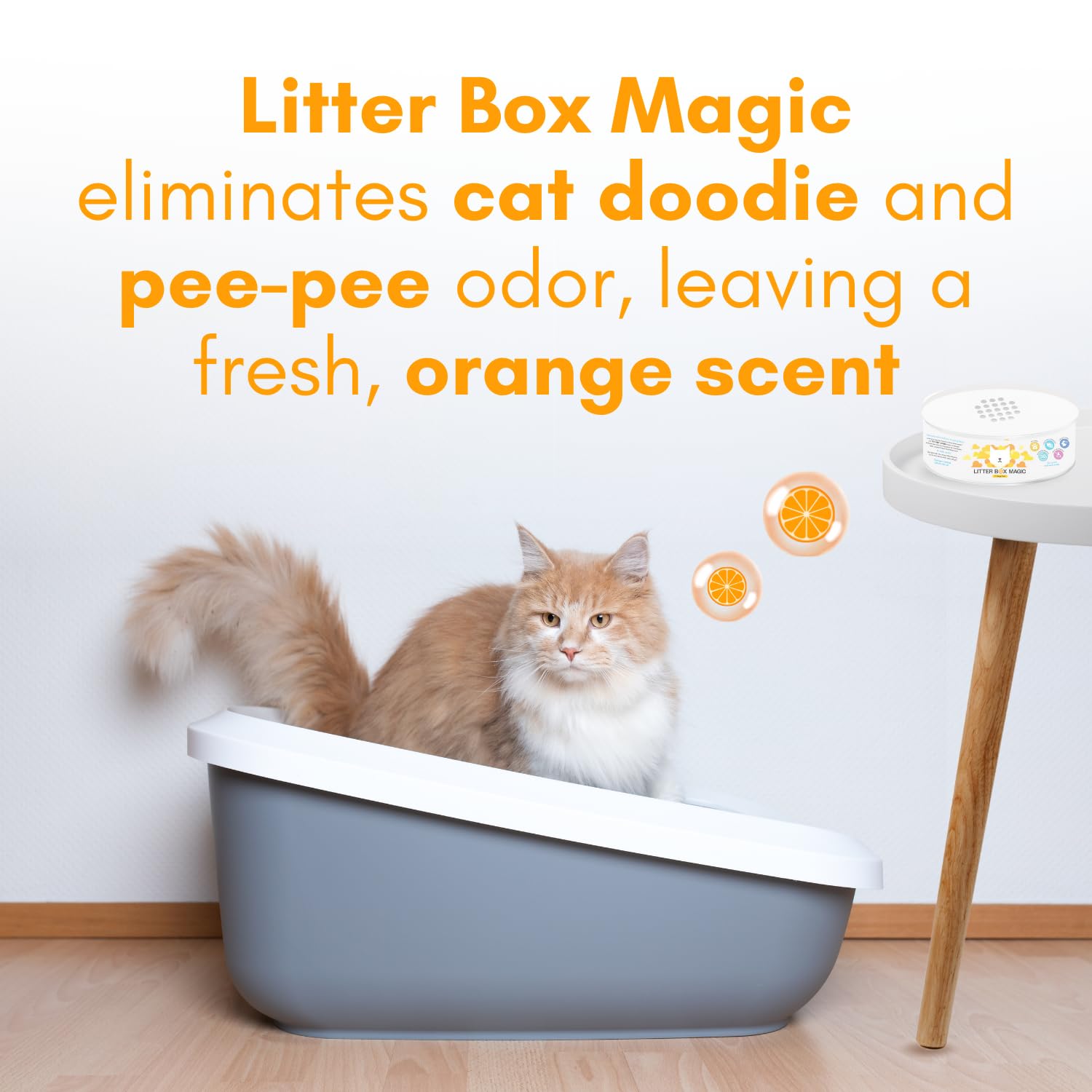 Litter Box Magic Cat Litter Deodorizer Jar (Orange Scent, 16 Oz, Pack Of 1) - Cat Litter Odor Control Gel In A Jar - Cat Litter