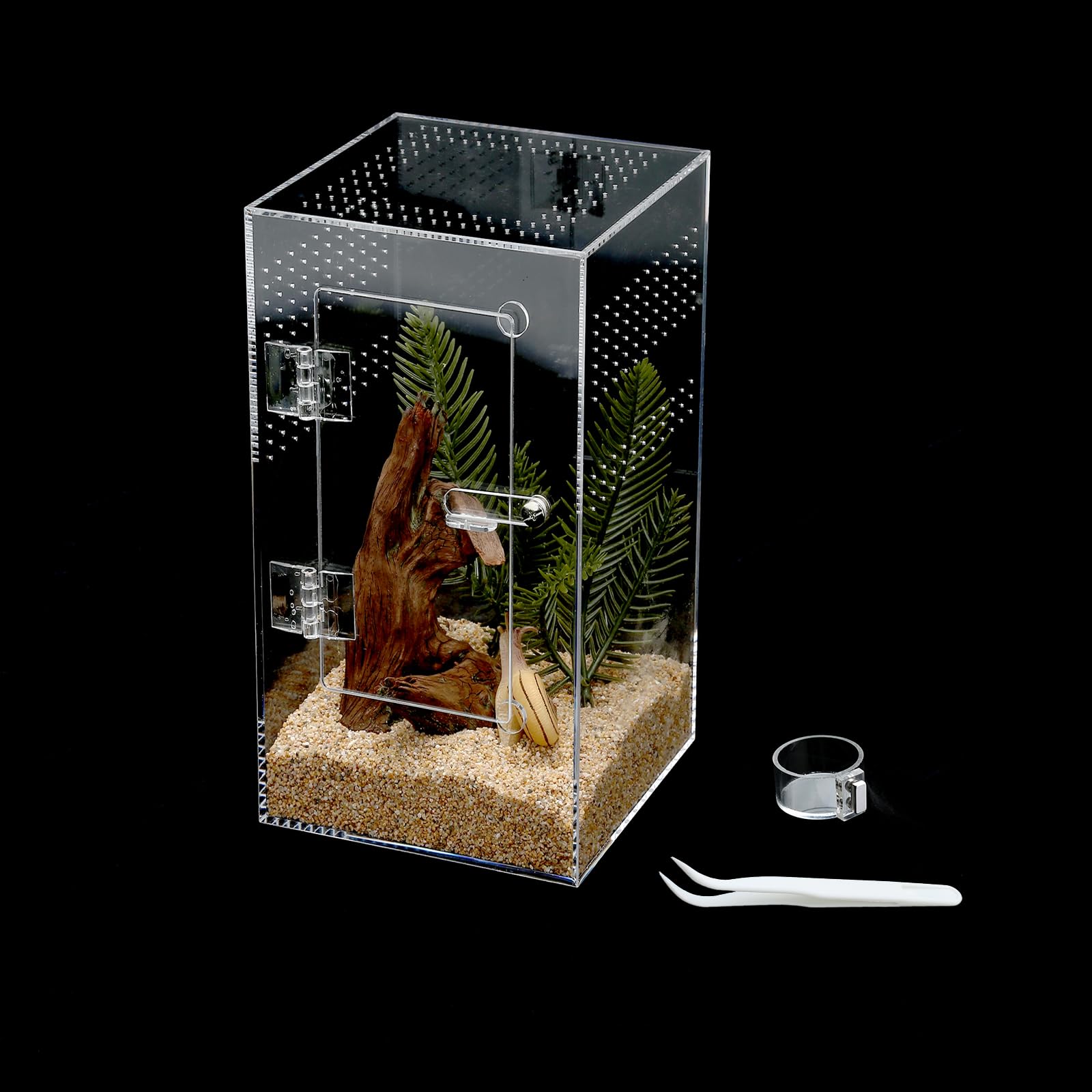 Acrylic Tarantula Enclosure Jumping Spider Enclosure With Front Opening Door5.3 * 5.3 * 9 Inches Micro Habitat Terrarium For Sma