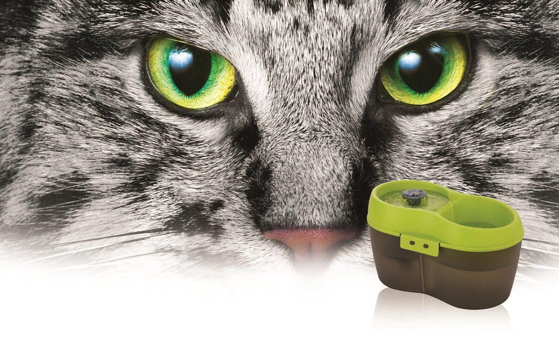 Cat H2O Filtered Cat Water Fountain 67 Fl. Oz/2.1 Quart With Filter & Dental Care Tablet, Lime Green/Translucent Black