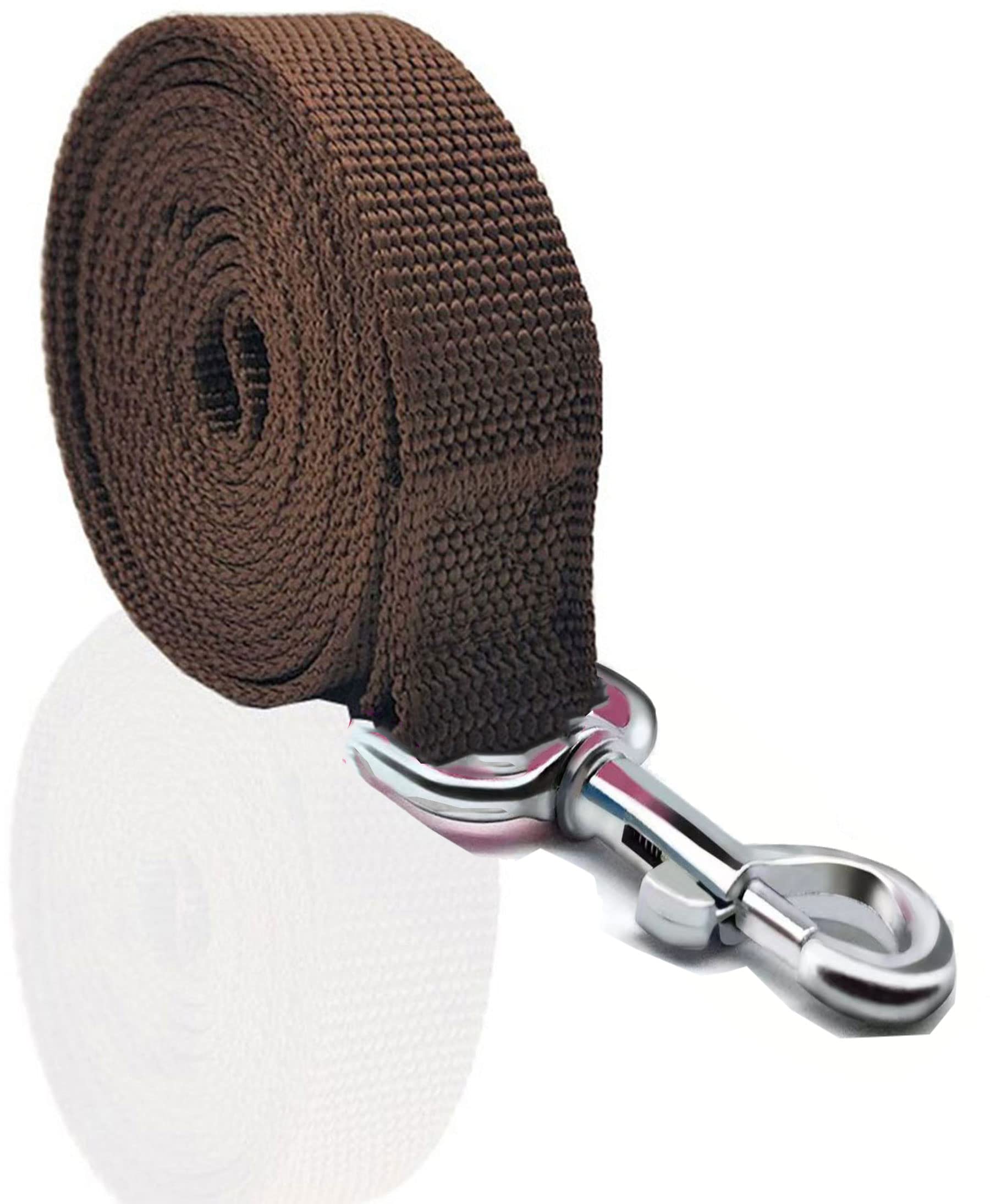 Nylon Dog Leash 8 Feet Long, Walking Training Dog Leashes For Medium Large Dogs(1'' X 8 Ft, Brown)
