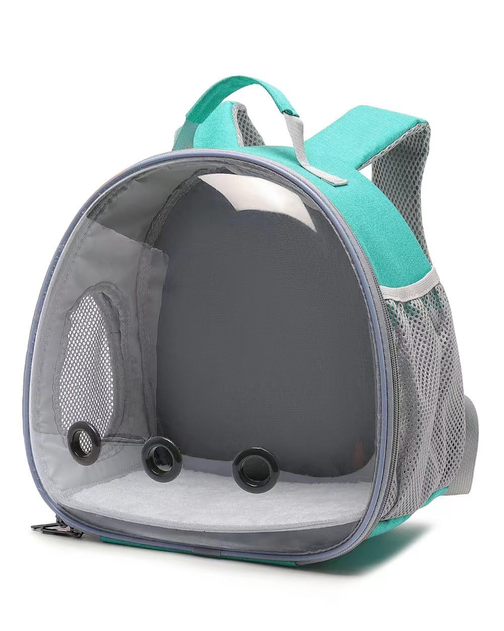 Hcupet Small Animal Carrier Backpack Space Capsule Bubble Window Carrier Backpack For Lizard Guinea Pig(Green)