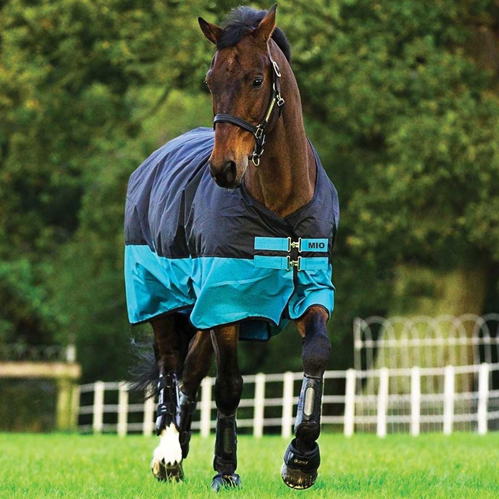 Horseware Ireland Mio T/O Lite, Color: Black/Turq & Black, Size: 57 (Aasa41-Kctk-57)