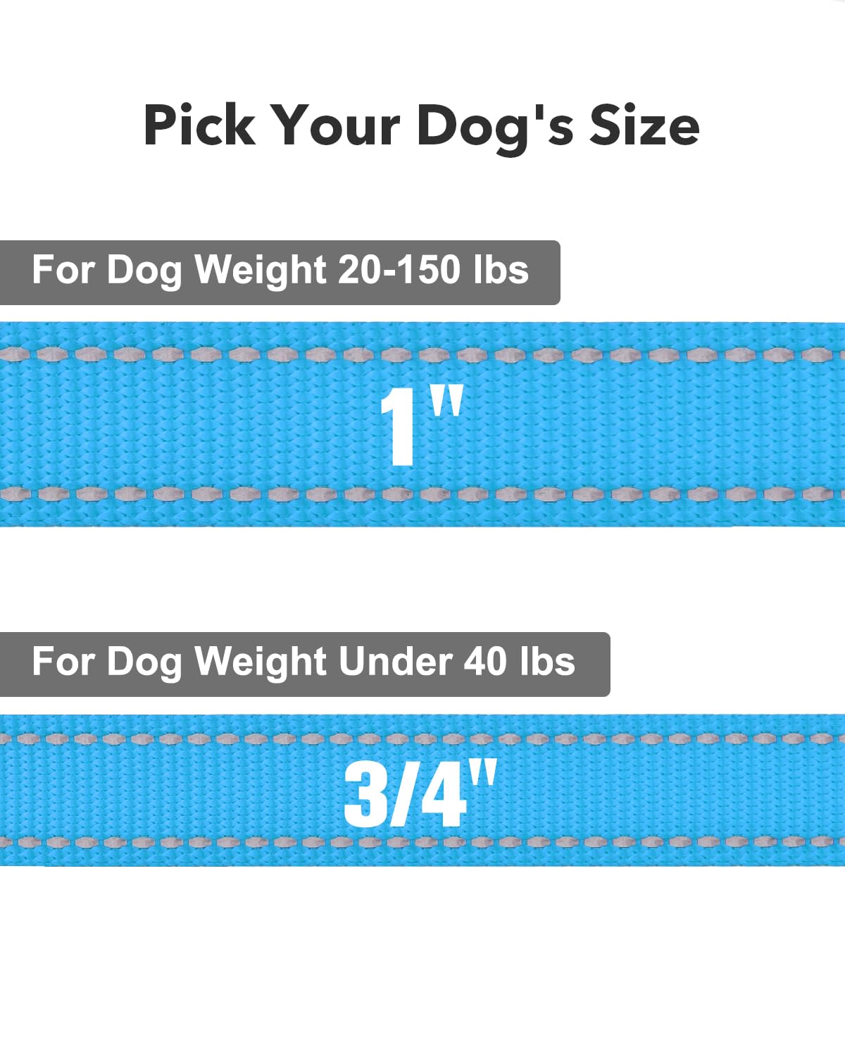 Taglory Nylon Dog Leash 6Ft, Soft Padded Handle Pet Reflective Leashes For Medium Large Dogs Walking & Training, Sky Blue