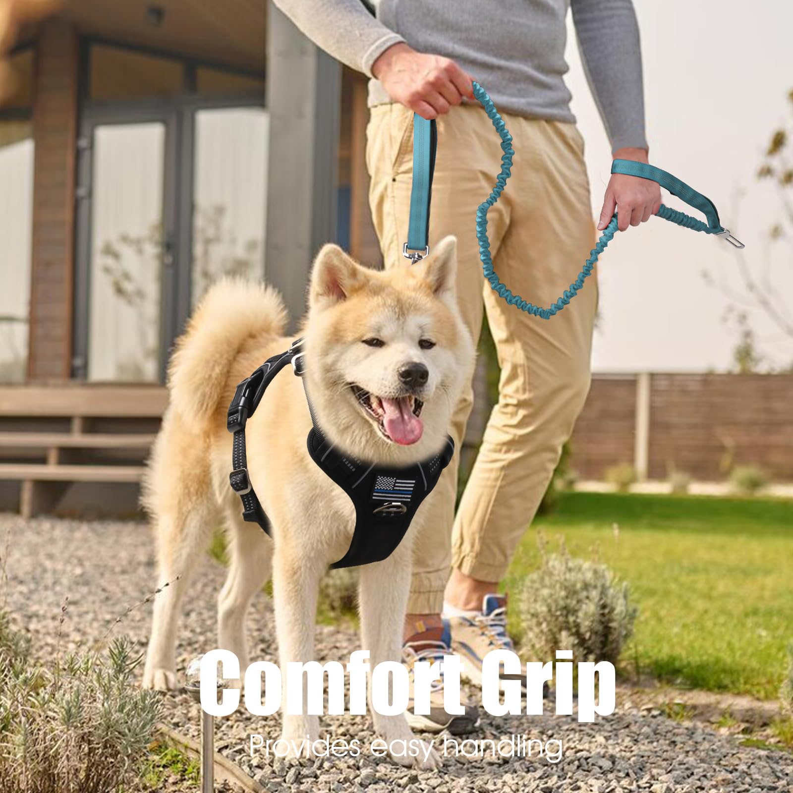 BUMBIN 6Ft Bungee Leash With 2 Handles for Large, Medium, Small Dogs - Heavy Duty, No Pull, Shock Absorbing With Car Seat Belt f