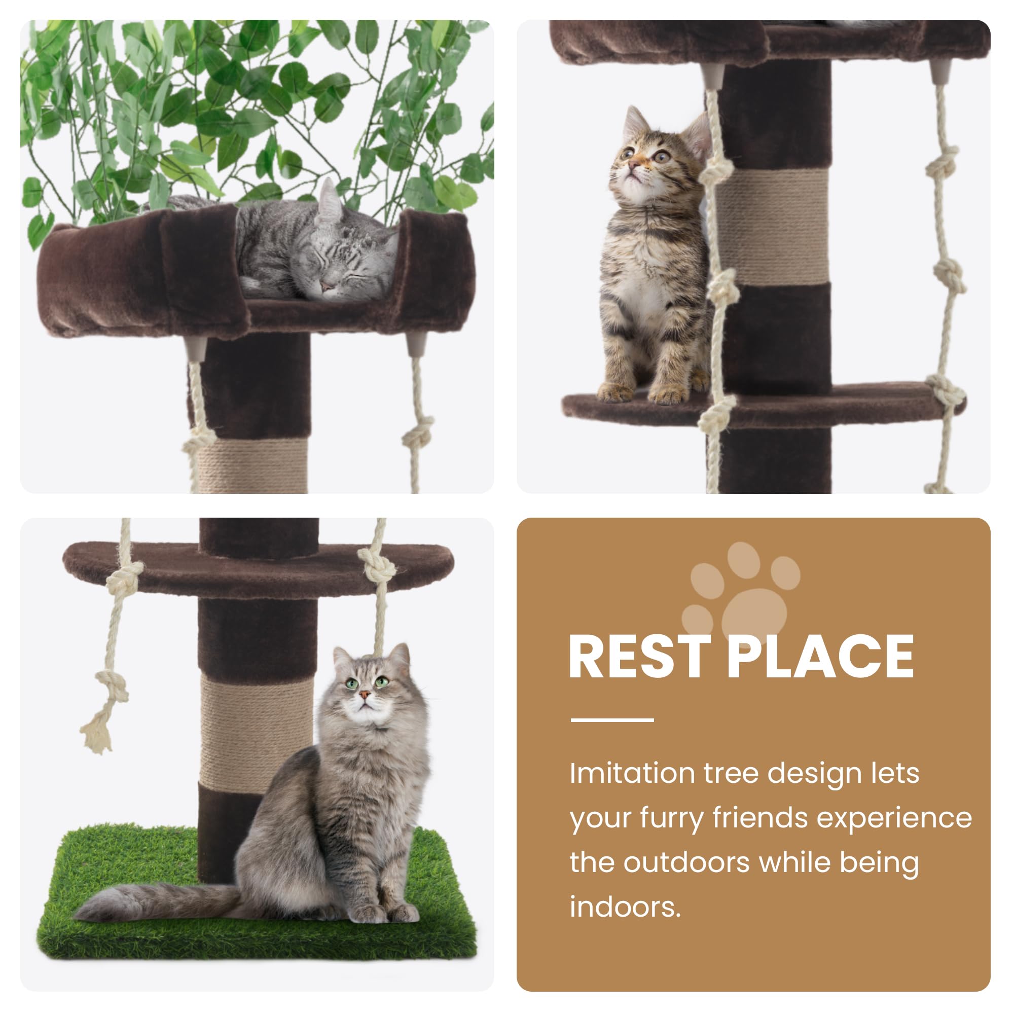 Sha Cerlin 55 Inches Cat Tree Tower With Leaves/Cozy Perches With Scratching Post For Indoor Kittens And Adults Cats/Sisal Rope