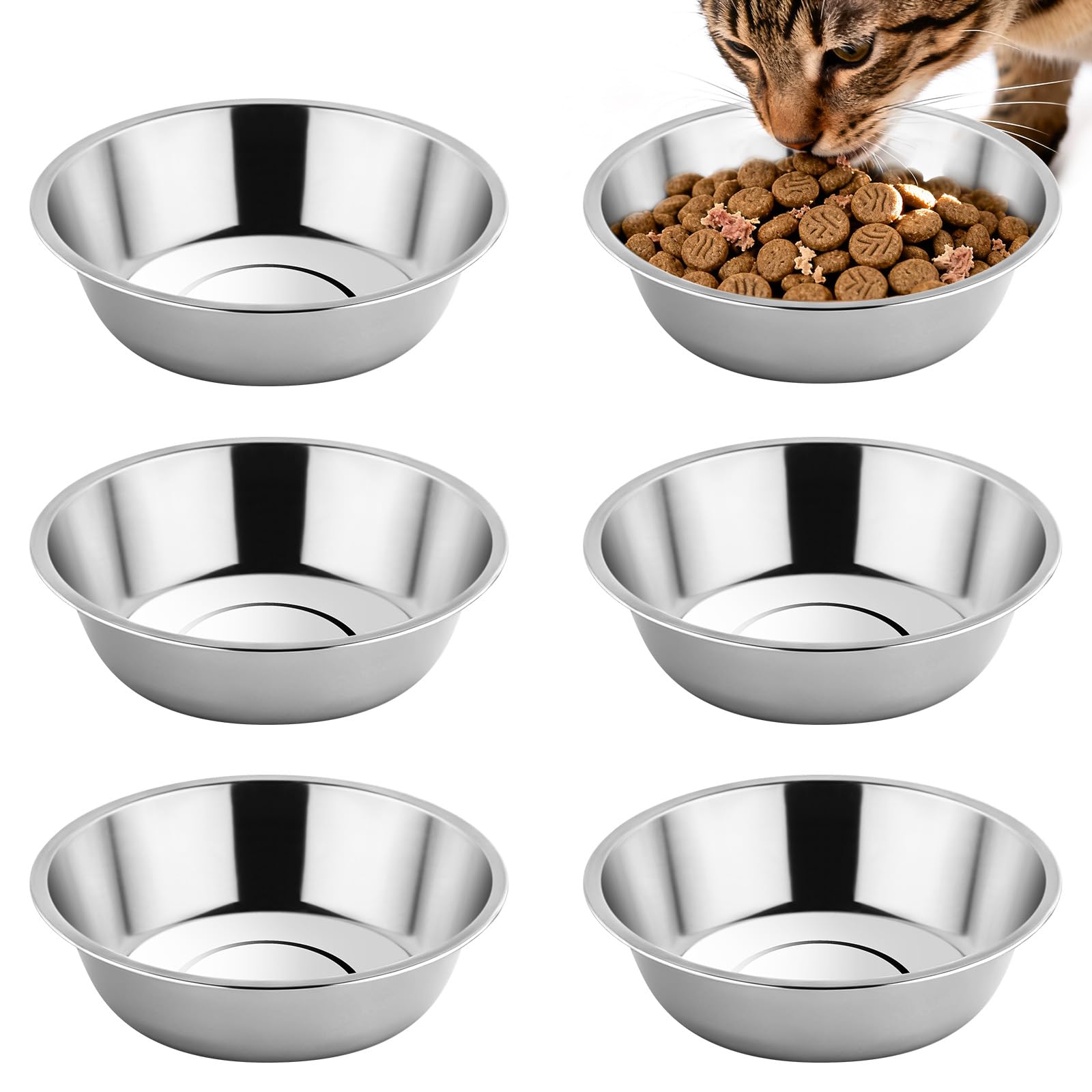 Tifanso 6PCS Stainless Steel Cat Bowls Dishes, 5.6 Metal Shallow Wide Whisker Friendly Cat Food Water Feeding Bowl, Kitten Plate