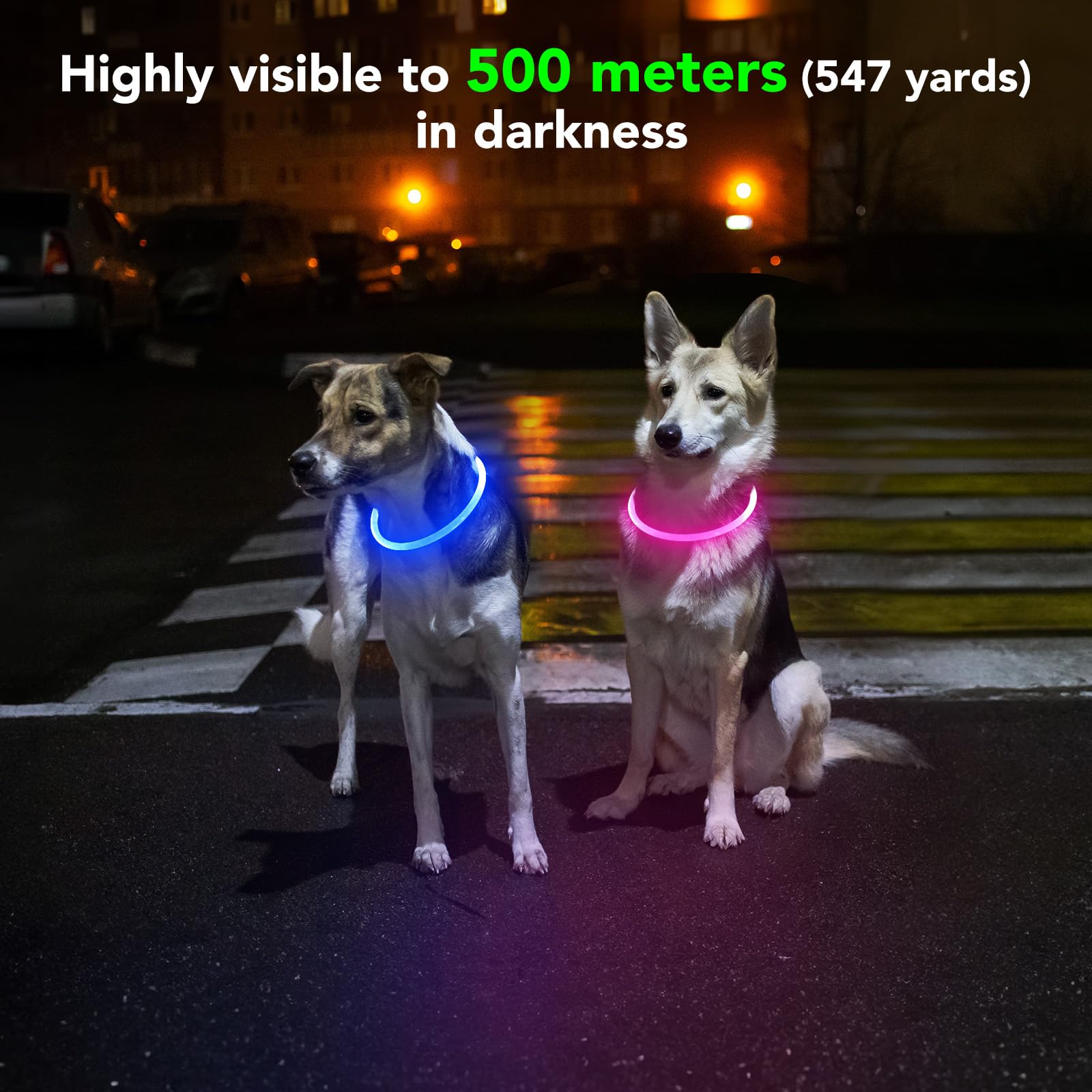 Domagiker Light Up Dog Collar - Waterproof Led Pet Collar Rechargeable, Tpu Cuttable Glow In The Dark Dog Lights For Night Walki