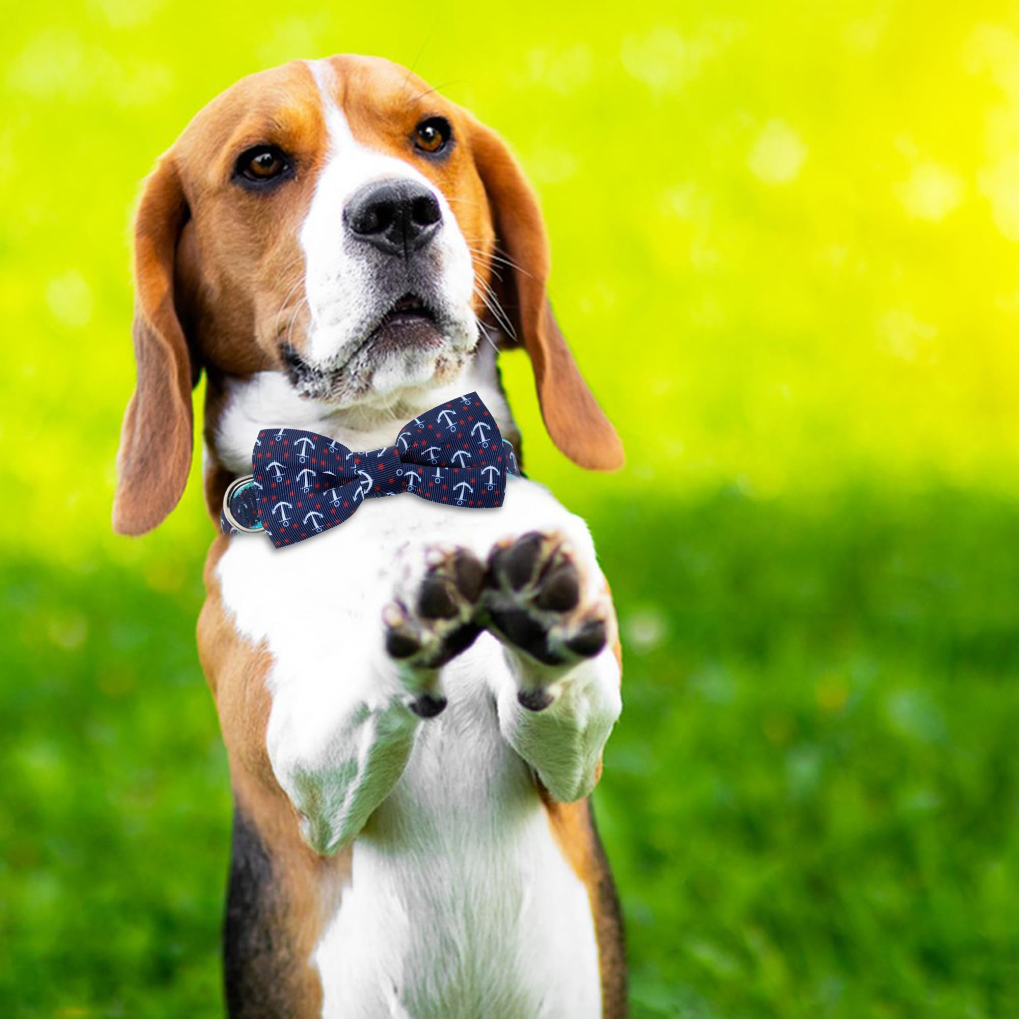 Azuza Anchor Dog Collar With Bow Tie, Soft And Comfortable Adjustable Bowtie For Medium Dogs