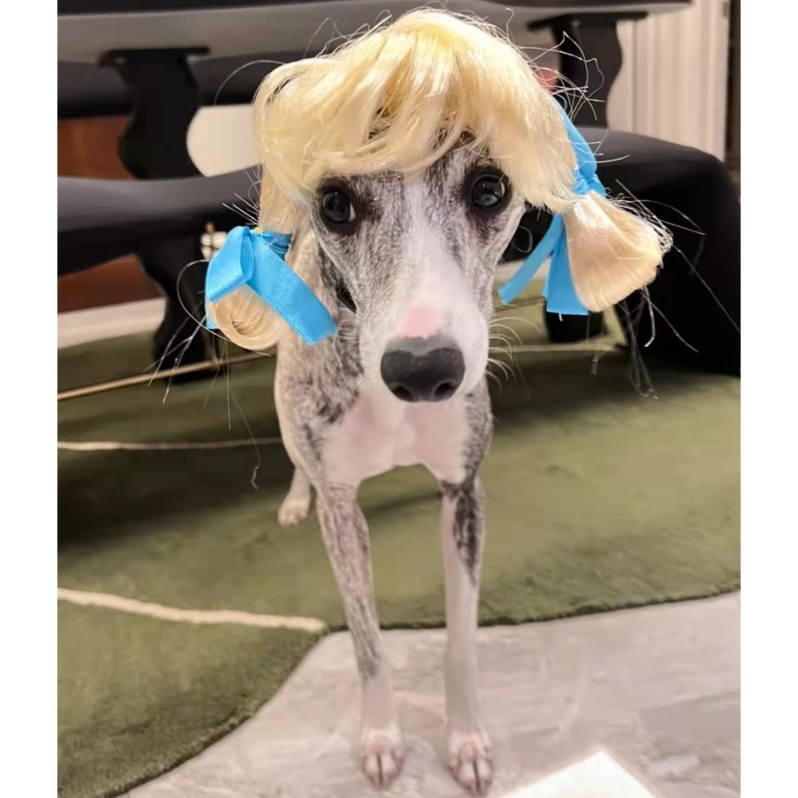 TESSVEYA Golden Braid Dog Wig - Funny Cosplay Accessory for Small, Medium & Large Dogs - Perfect for Halloween, Christmas & Parties