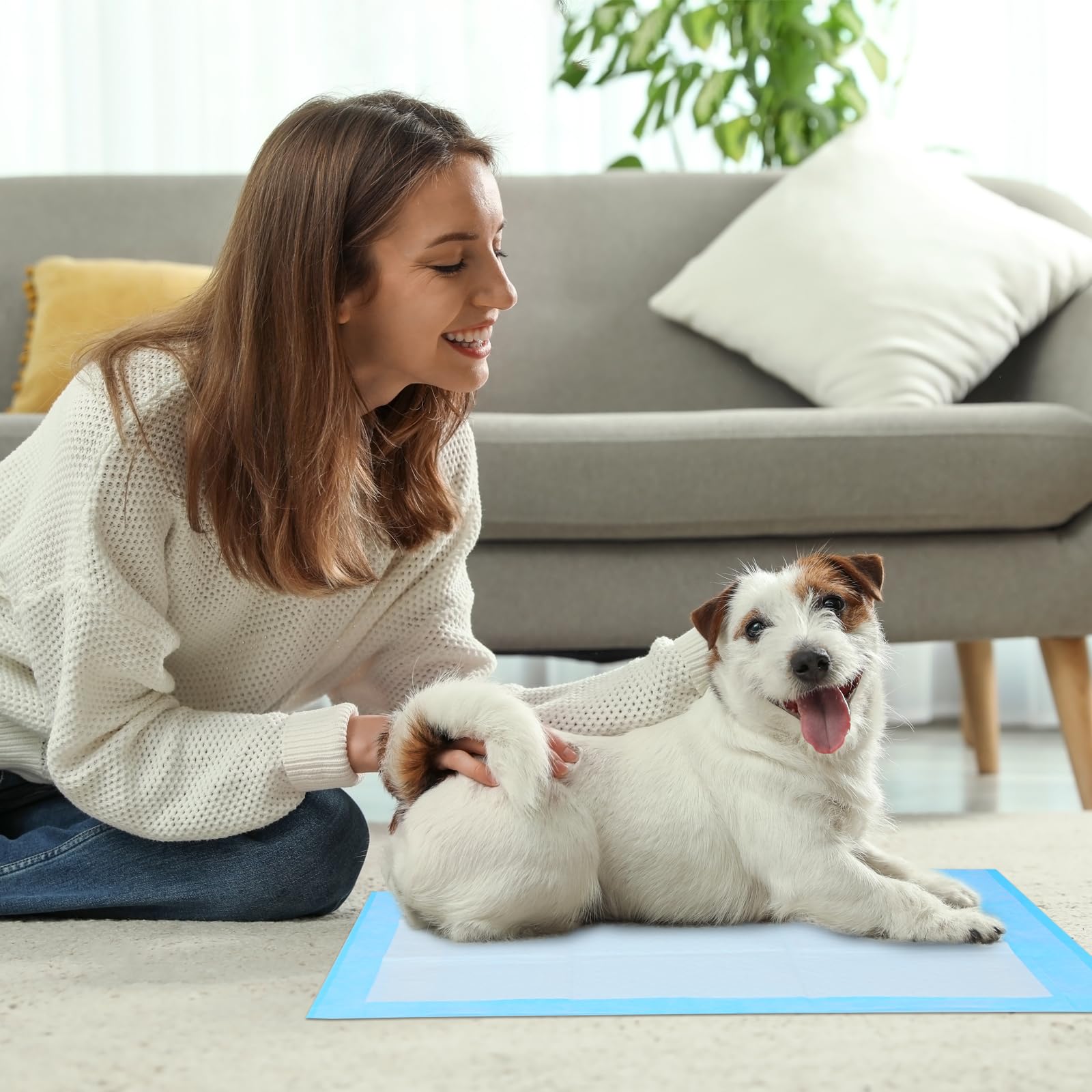Super Absorbent Waterproof Dog and Puppy Pet Training Pad, Housebreaking Pet Pad, 40-Count Extra Middle-Size, 30X36, Blue