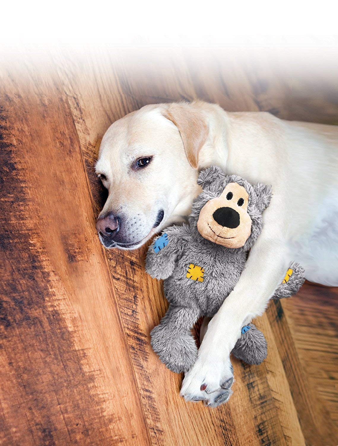 Kong Wild Knots Bear, X-Large, Colors May Vary (2)