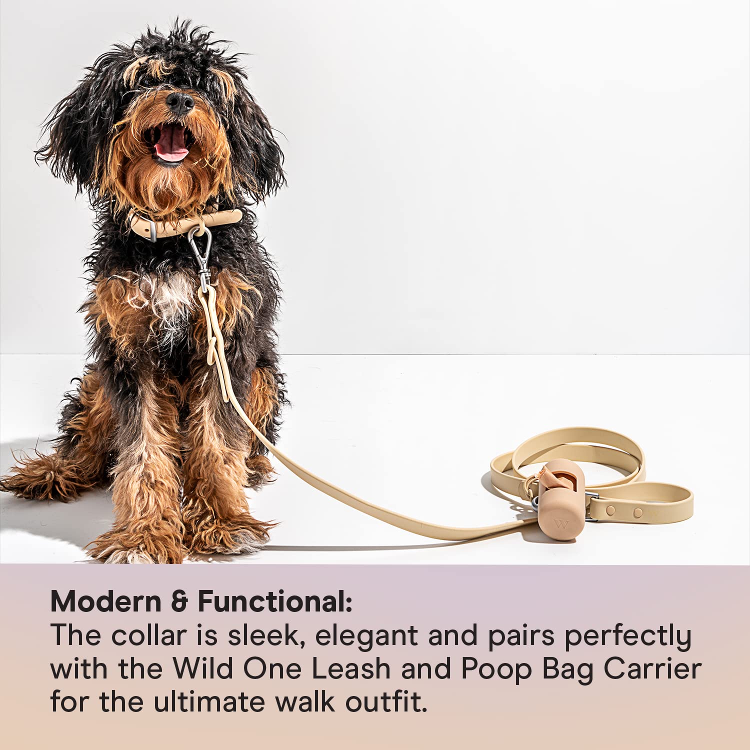 Wild One Dog Collar, The Original Easy-Clean, All Weather Flex-Poly Strap With Metal, Durable, Dirt And Odor Resistant, Size Xs,