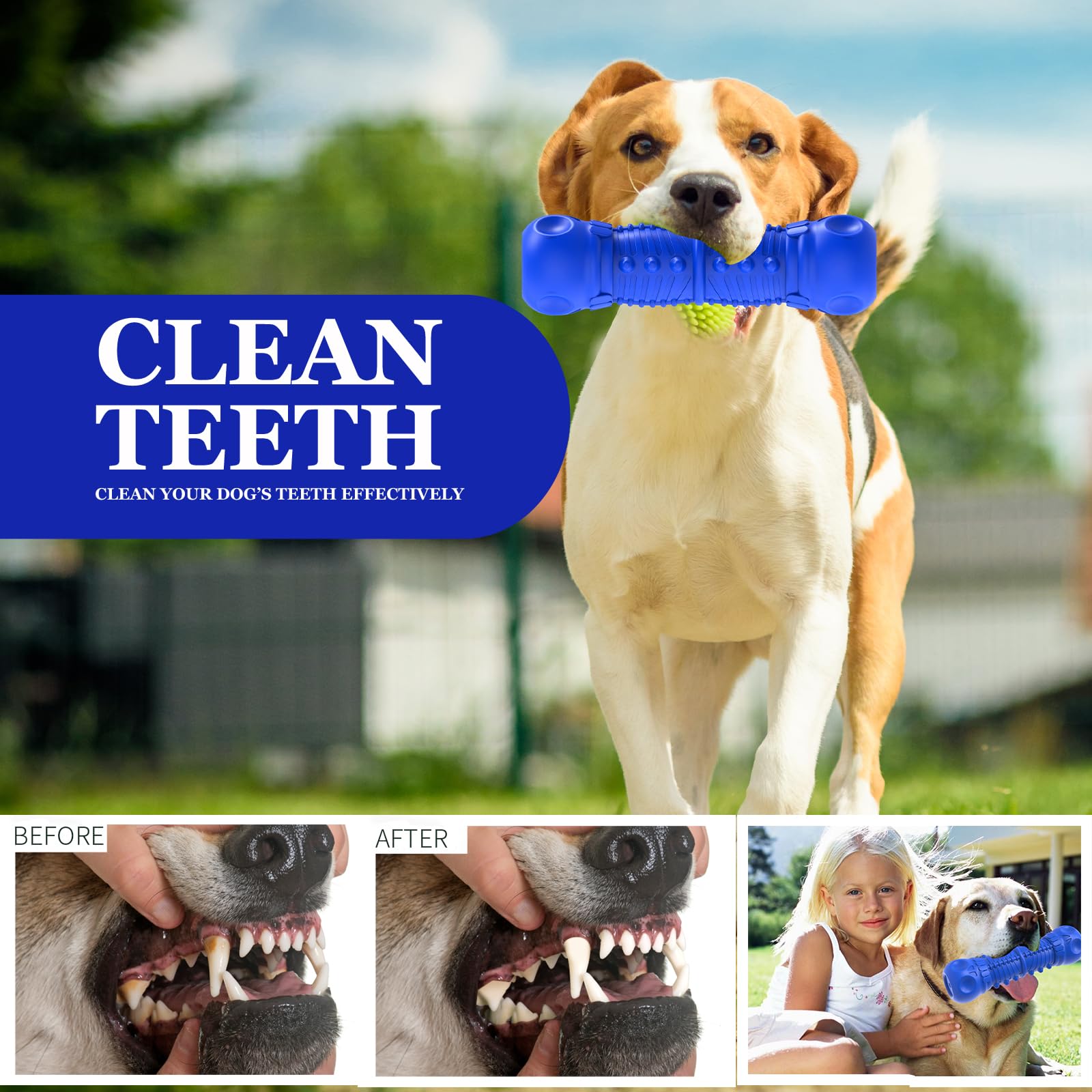 ZIKATON Dog Squeaky Toys for Aggressive Chewers - Durable Natural Rubber Chew Toys for Small Dogs, Bule 0, Tough & Long-lasting