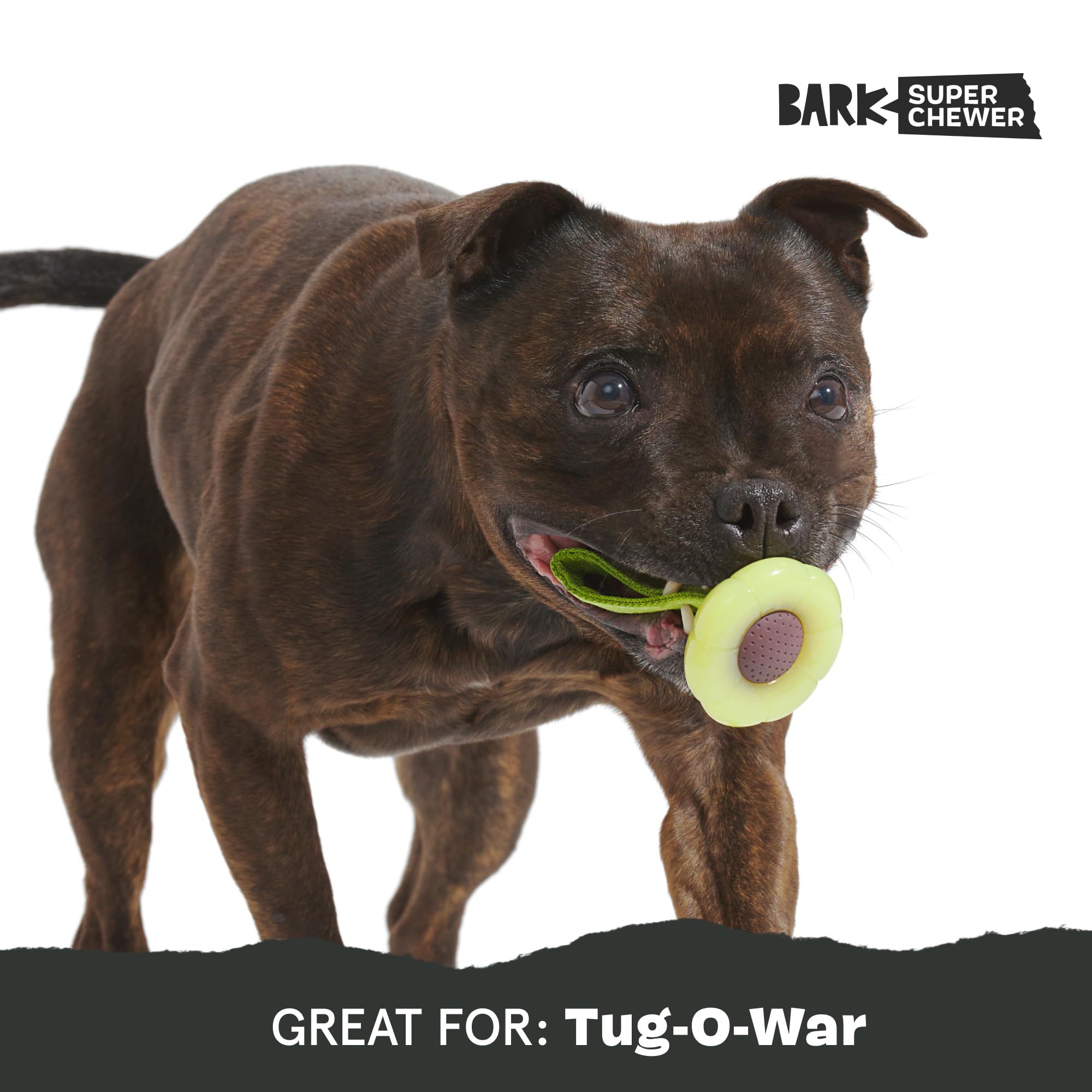Barkbox Bark Sun Power Tug Rope Toy For Dogs & Puppies - Medium