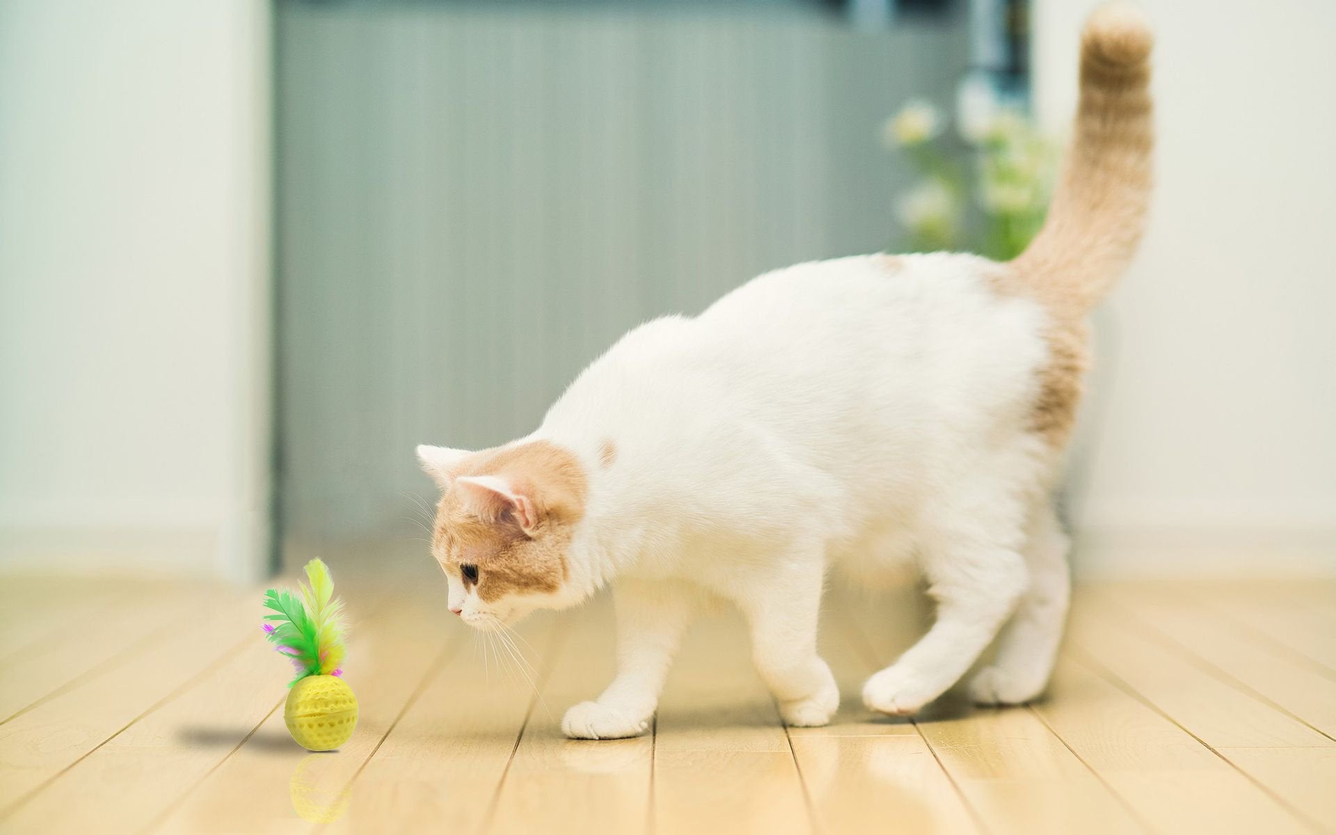 Nargos 1.5 Dia Colorful Golf Sponge Foam Balls Cats Toys With Feathers-Christmas Version (8 Pack)