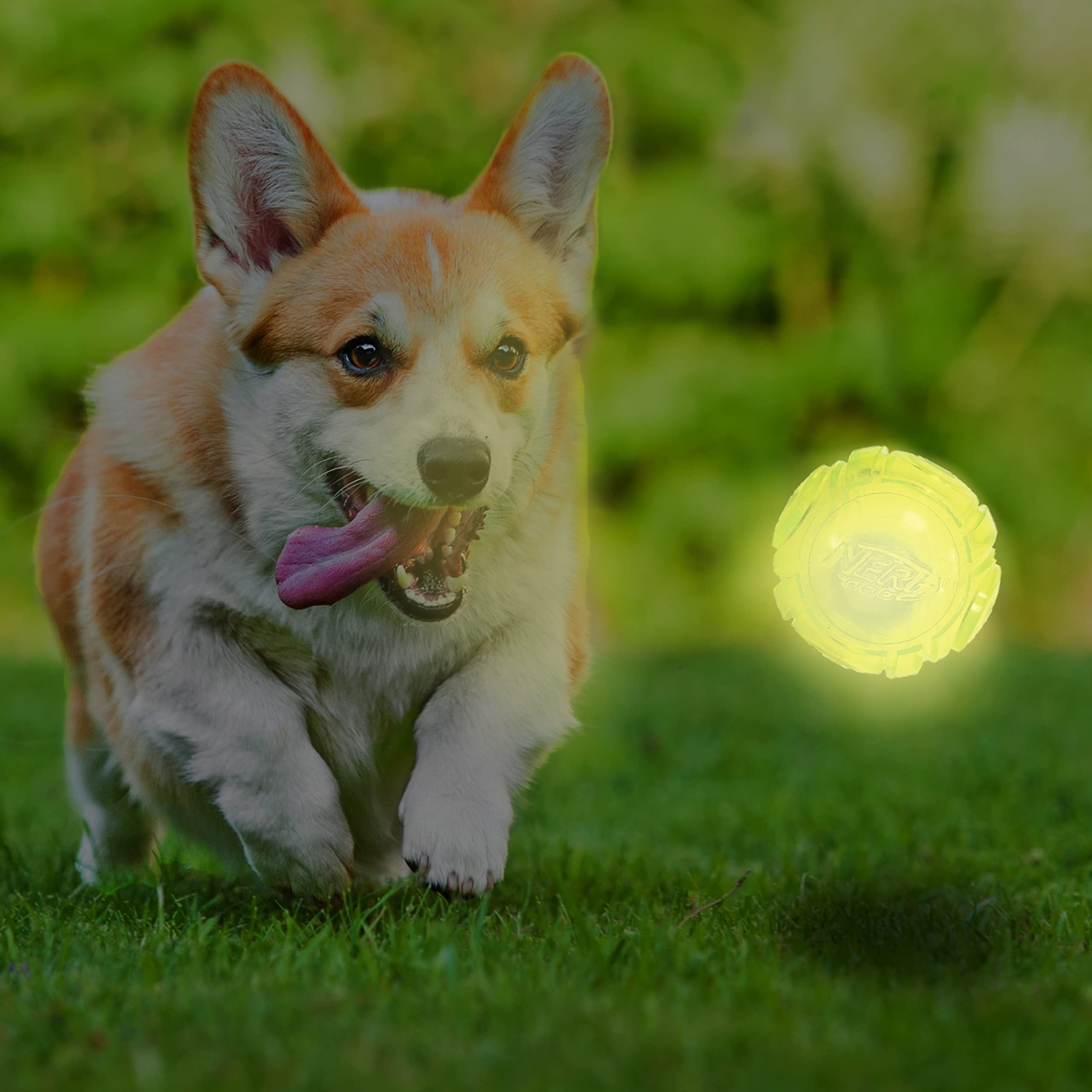 Nerf Dog Tennis Ball Blaster Dog Toy White, 2.5 Inch Glow Reload Ball