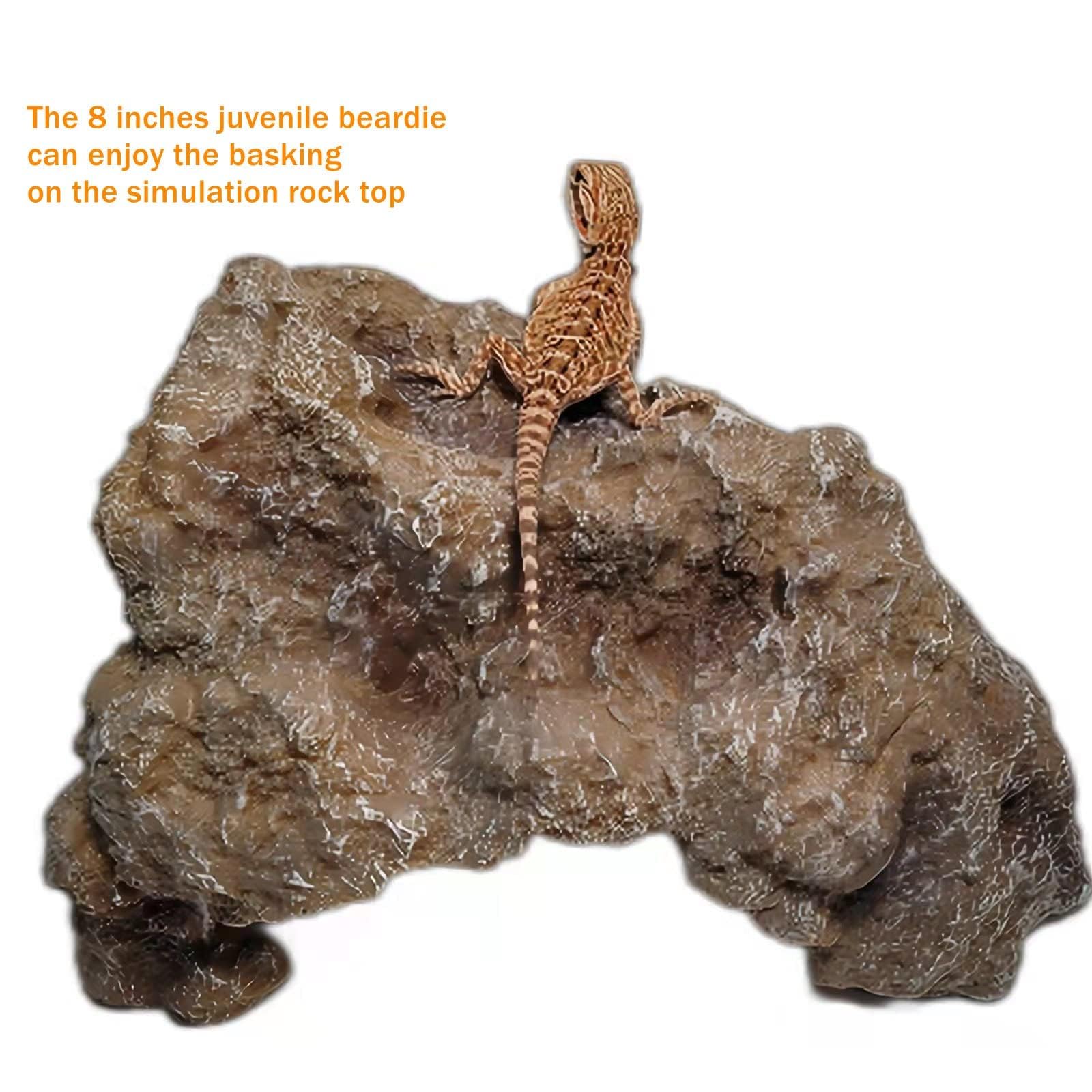 Runxf Reptile Simulation Rock Hideouts Cave Amphibian Hides Resin Habitat Decor Shelter For Gecko Leopard Lizards Toad Turtle (Medium) Grey