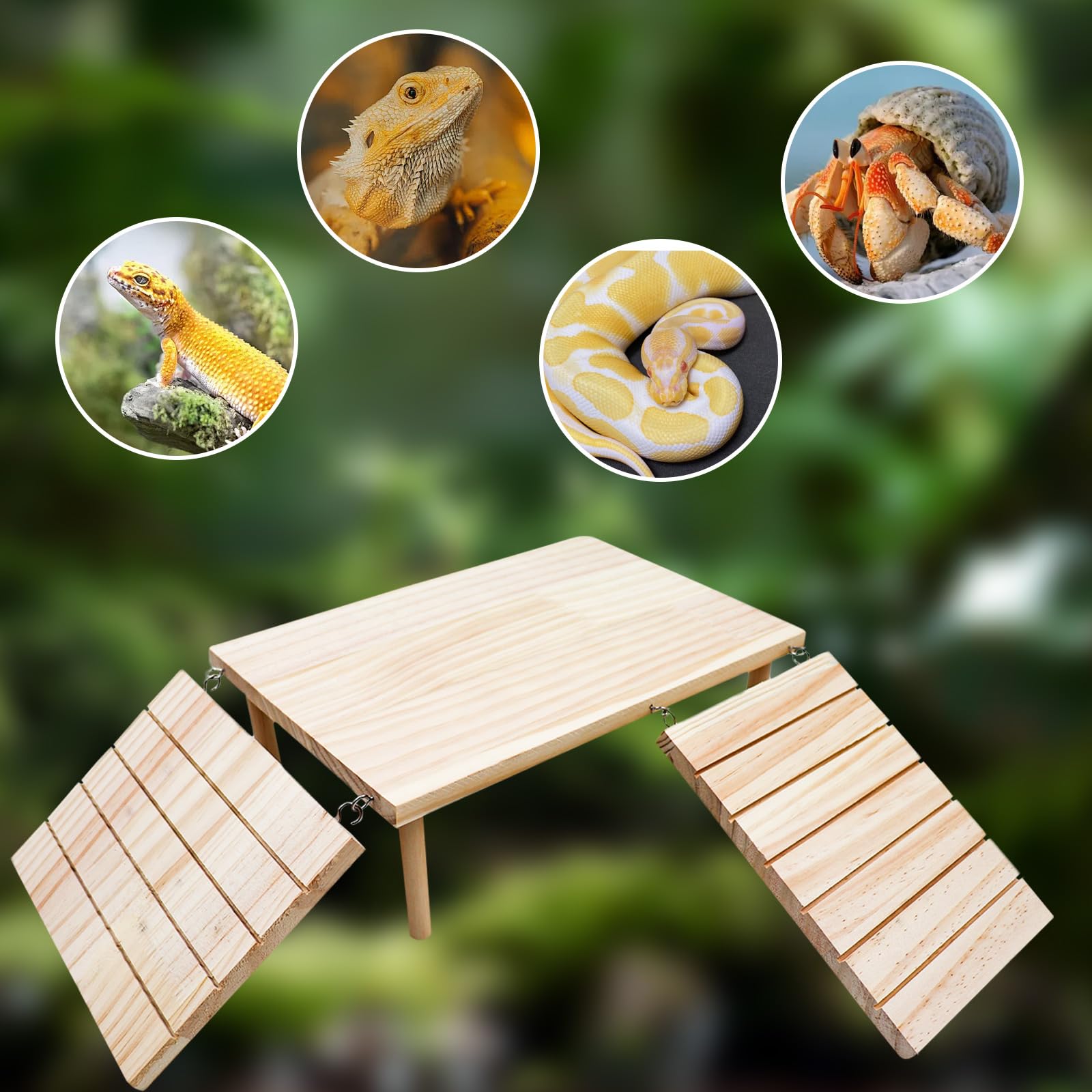Bearded Dragon Tank Accessories, Wooden Basking Platform with Ramp, Reptile Basking Platform, Reptile Habitat Accessories for Be