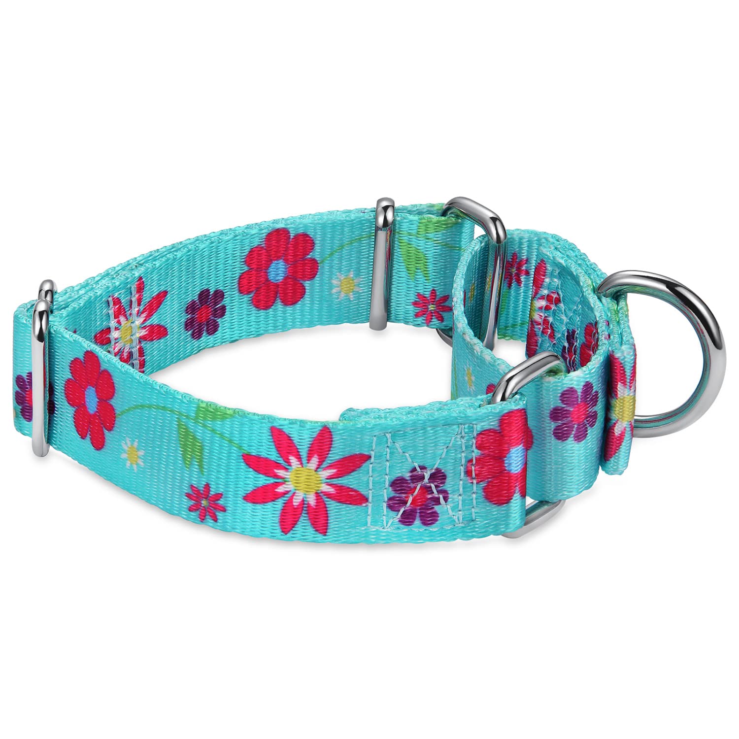 Dazzber Martingale Collar Floral Print Dog Collar - No Pull Pet Collar, Heavy Duty Adjustable Dog Collar, Medium, Neck 14 Inch -