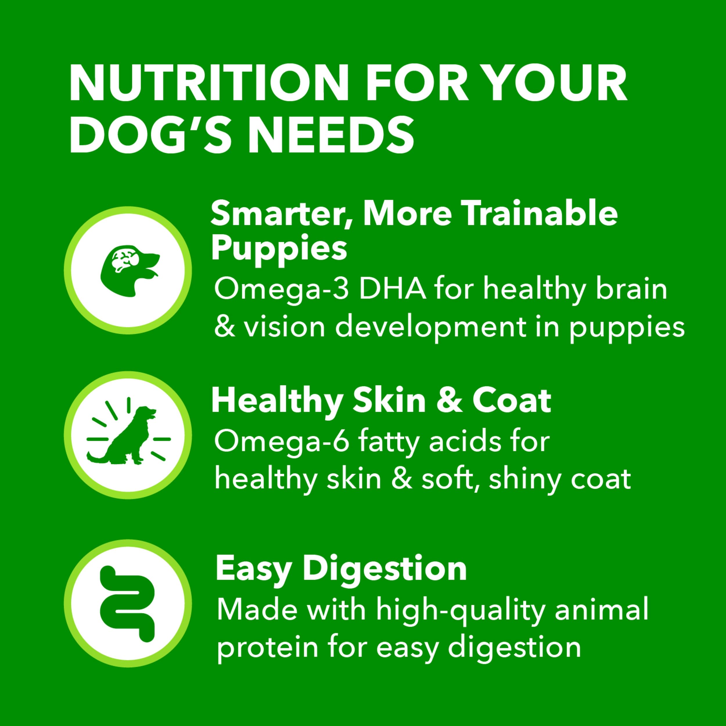 IAMS Proactive Health Puppy Wet Dog Food Classic Ground with Chicken and Rice, 13 oz. Cans, Pack of 12