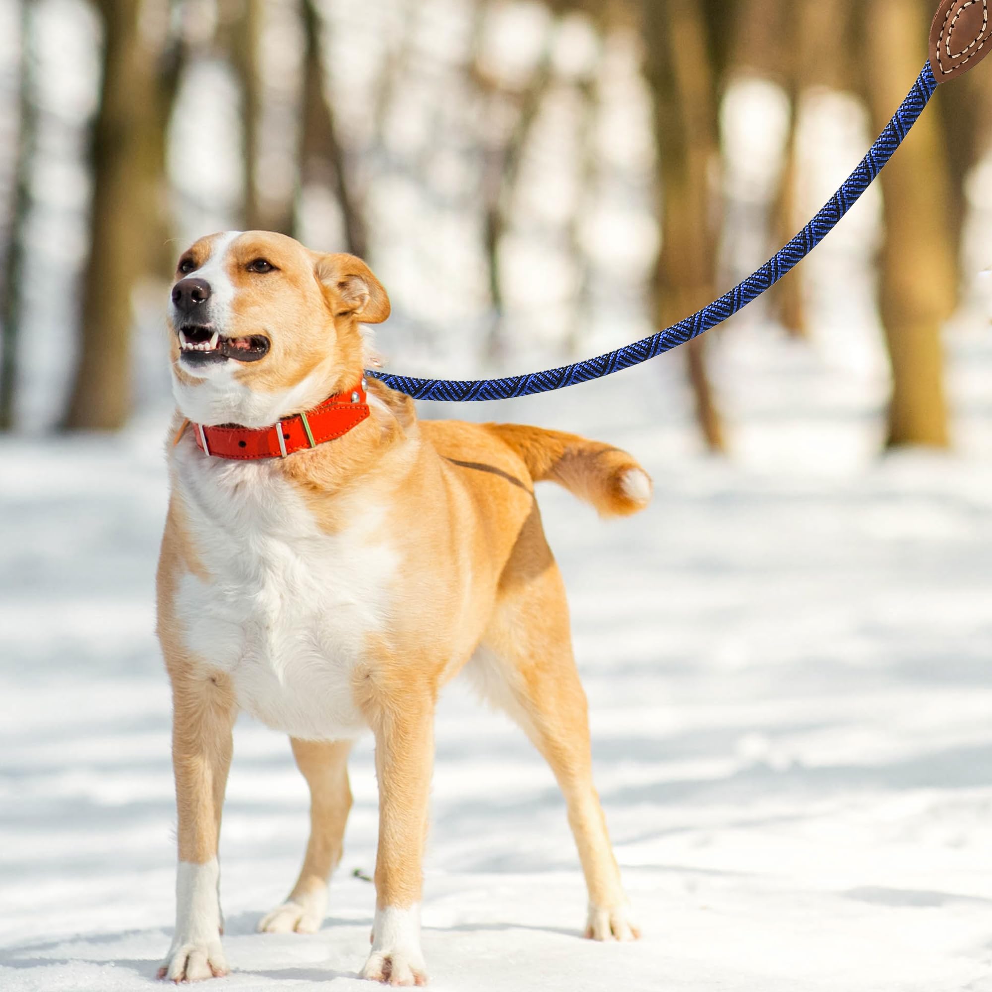 Mile High Life Rope Leash With Genuine Leather Connection, 6 Ft/5 Ft/4 Ft, Heavy Duty Leash For Medium & Large Dogs (Blue, 60 In
