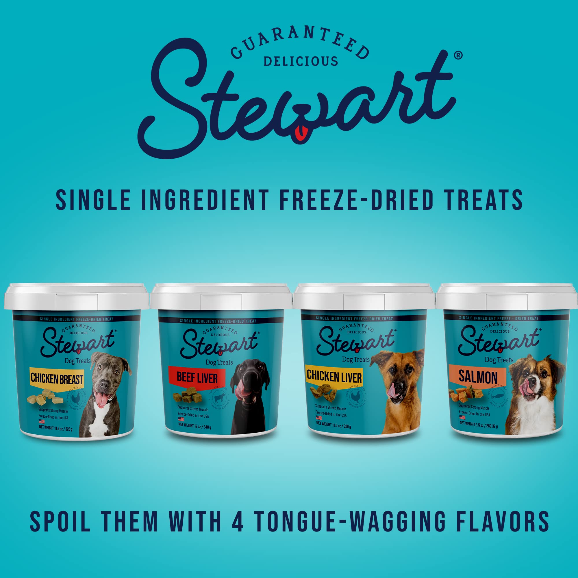 Stewart Single Ingredient Freeze Dried Raw Dog Treats, Chicken Breast, 14.8 Ounce Value Size Resealable Tub, Training Treats or
