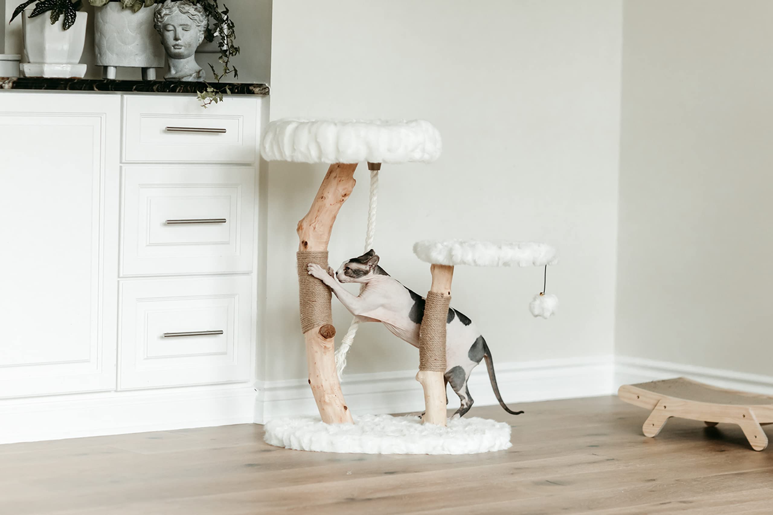 Mau Modern Cat Tree Tower, Natural Branch Cat Condo, Luxury Wood Cat Tower, Cat Scratching Tree, Cat Condo, Cat Lover Gift, Luxury Cat, Cat Gifts By Mau Lifestyle