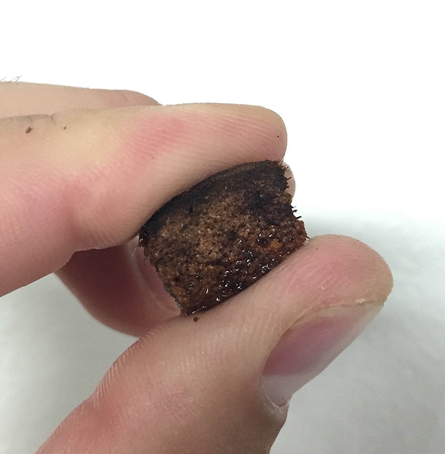 Reptichip Coconut Substrate For Reptiles 36 Quart Loose Coarse Coconut Husk Chip Reptile Bedding For Ball Pythons, Tortoises, Geckos, Frogs, Snakes Or Lizard Terrarium Tanks