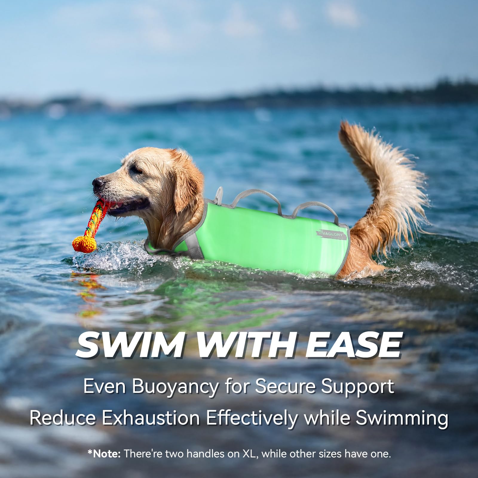 Vivaglory Neoprene Dog Life Jacket Dog Swim Vest For Boating Hunting & Swimming, Lightweight With Leash Ring, Xl, Grape Green