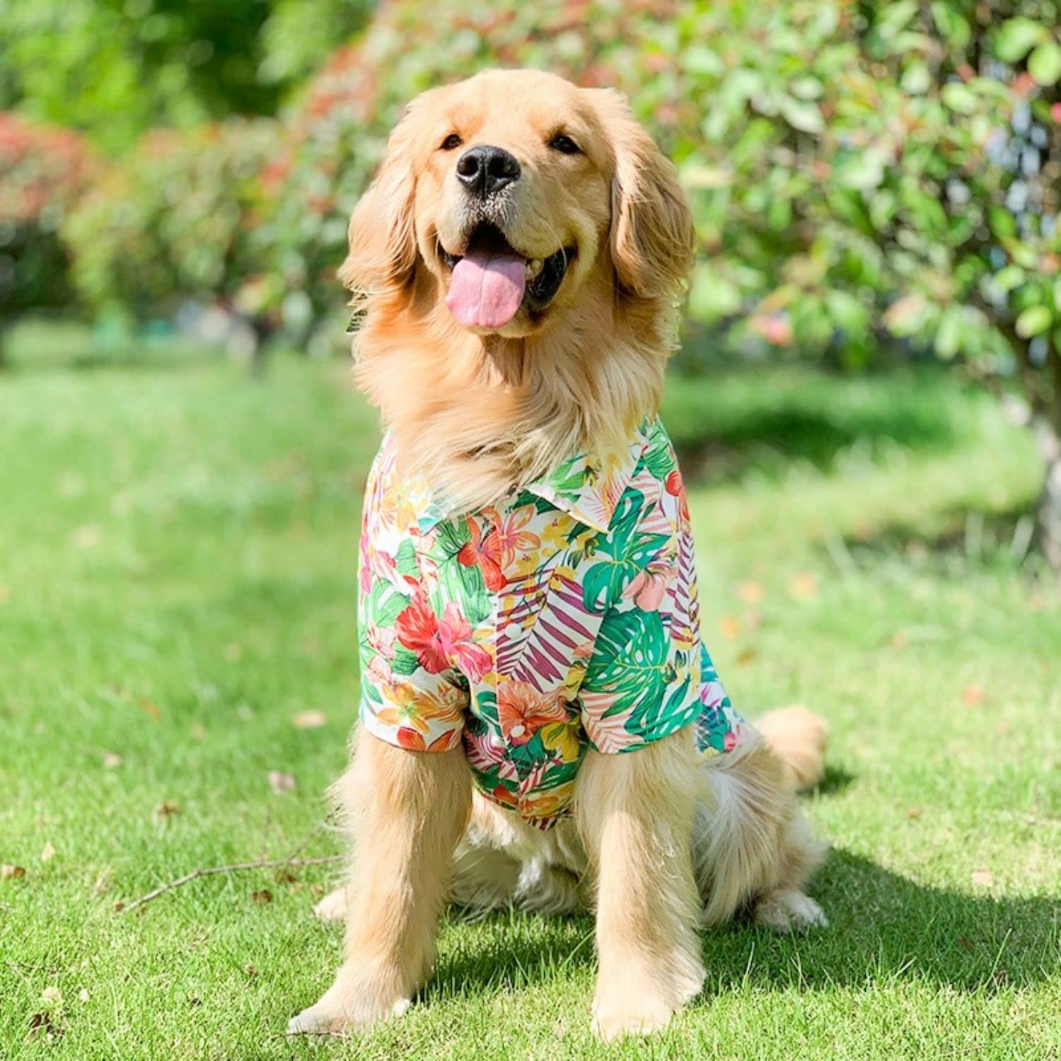 Harikaji Dog Hawaiian Shirt, Summer Pet Clothes Large Dog Cool Costume Beach T-Shirt For Medium Large Dog(Red,5Xl)